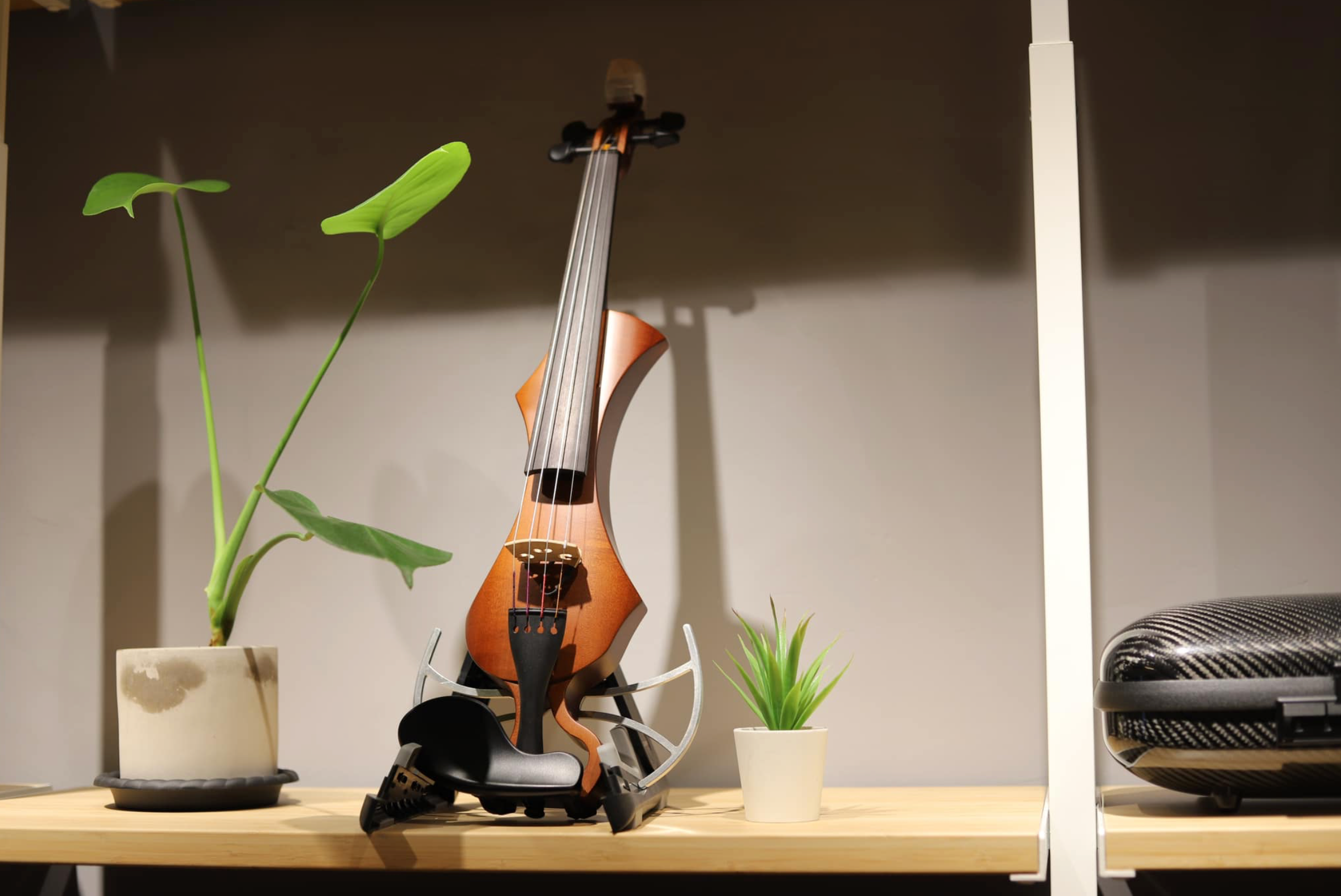 GEWA Novita3.0電子 / 電聲小提琴