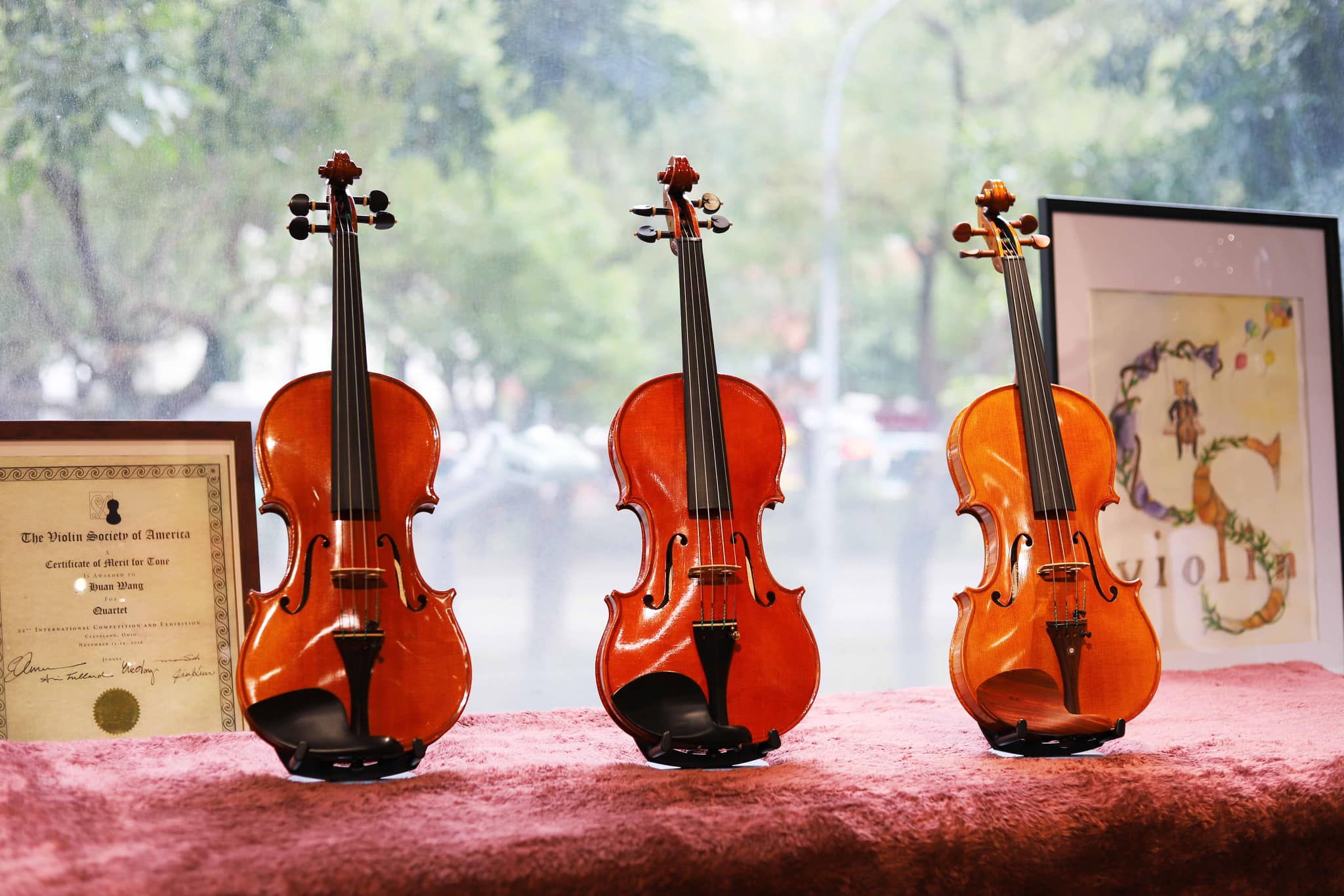 義大利小提琴到店