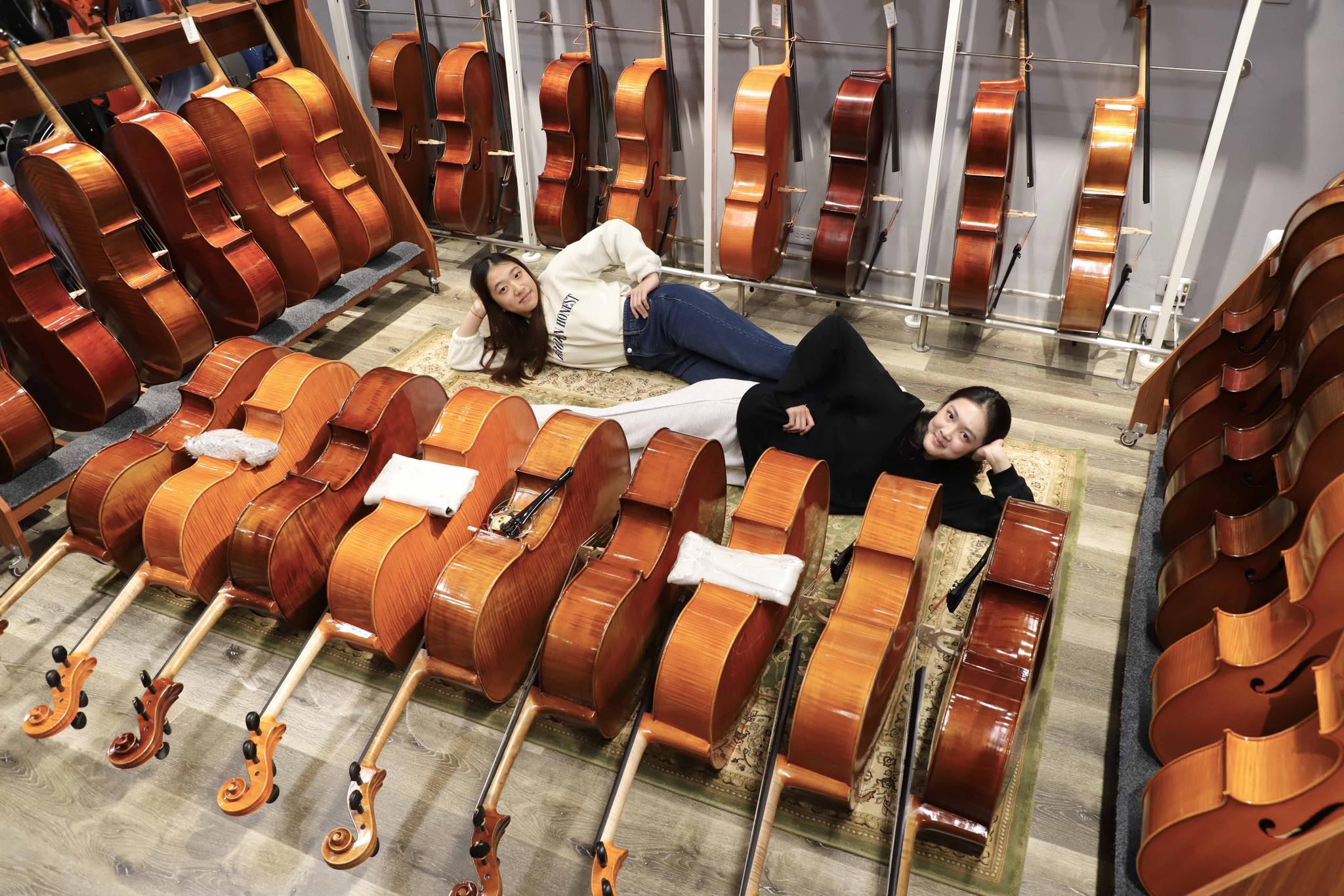 一整片提琴的溫暖包圍😊