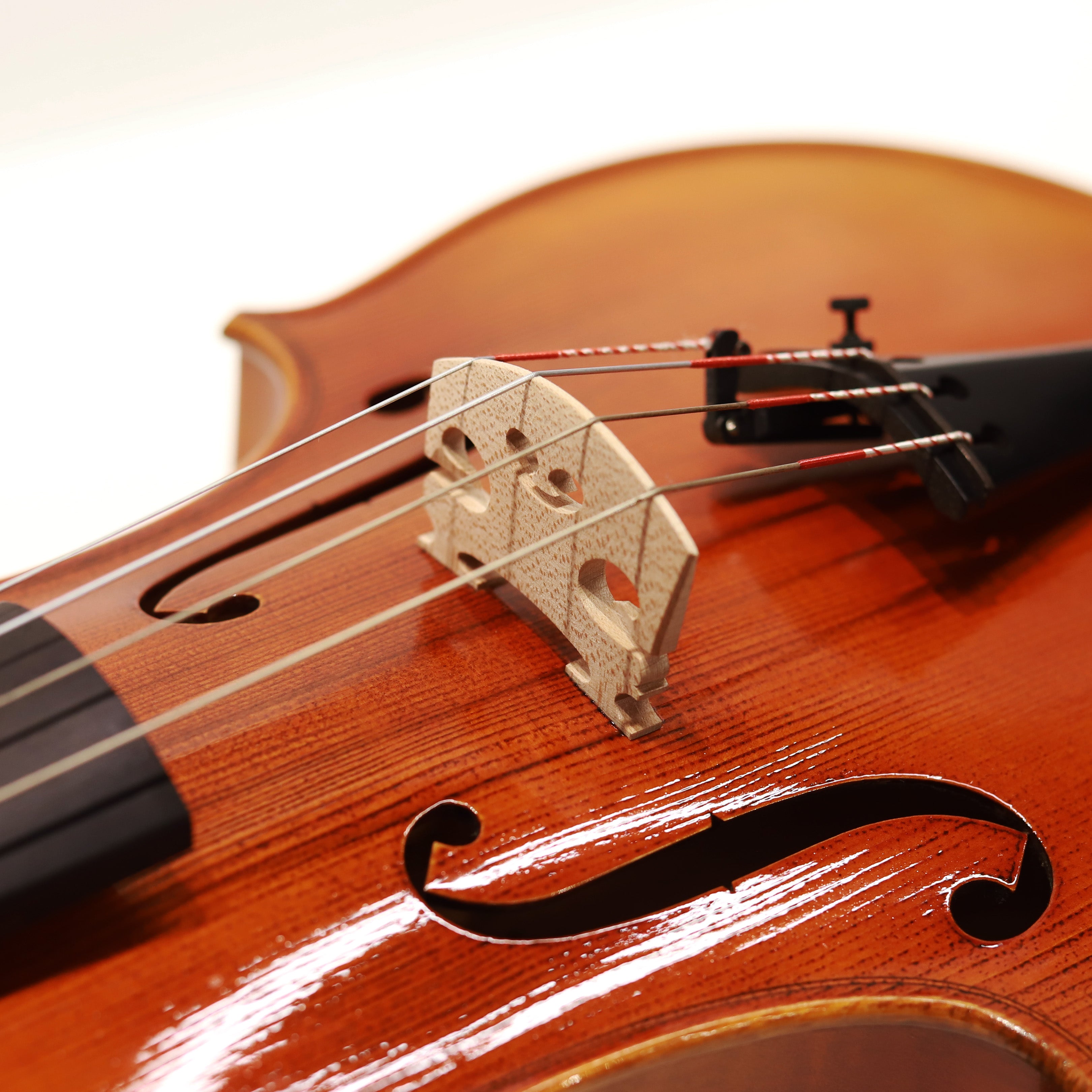 CS viola 學生系列中提琴 VA-200