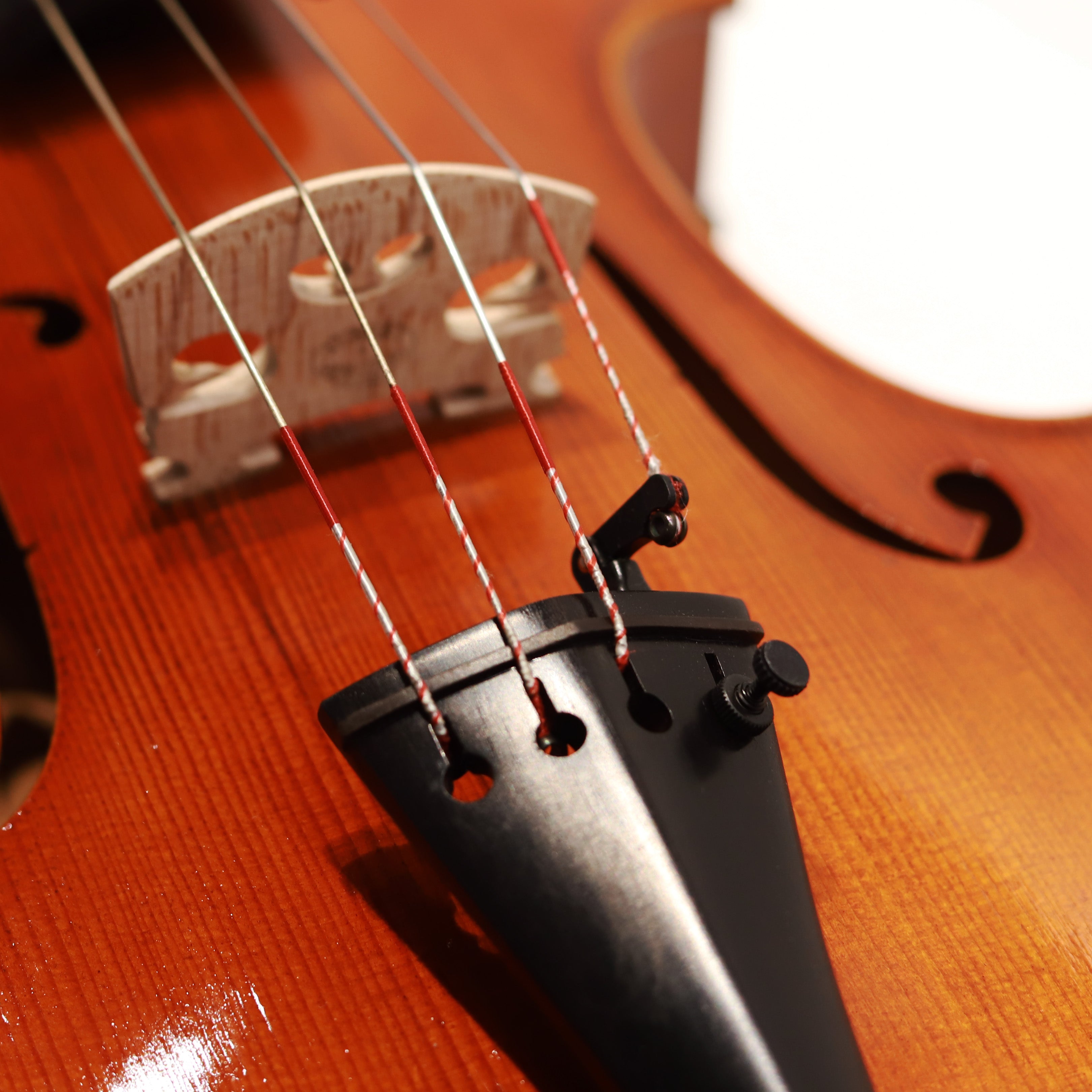 CS viola 學生系列中提琴 VA-200