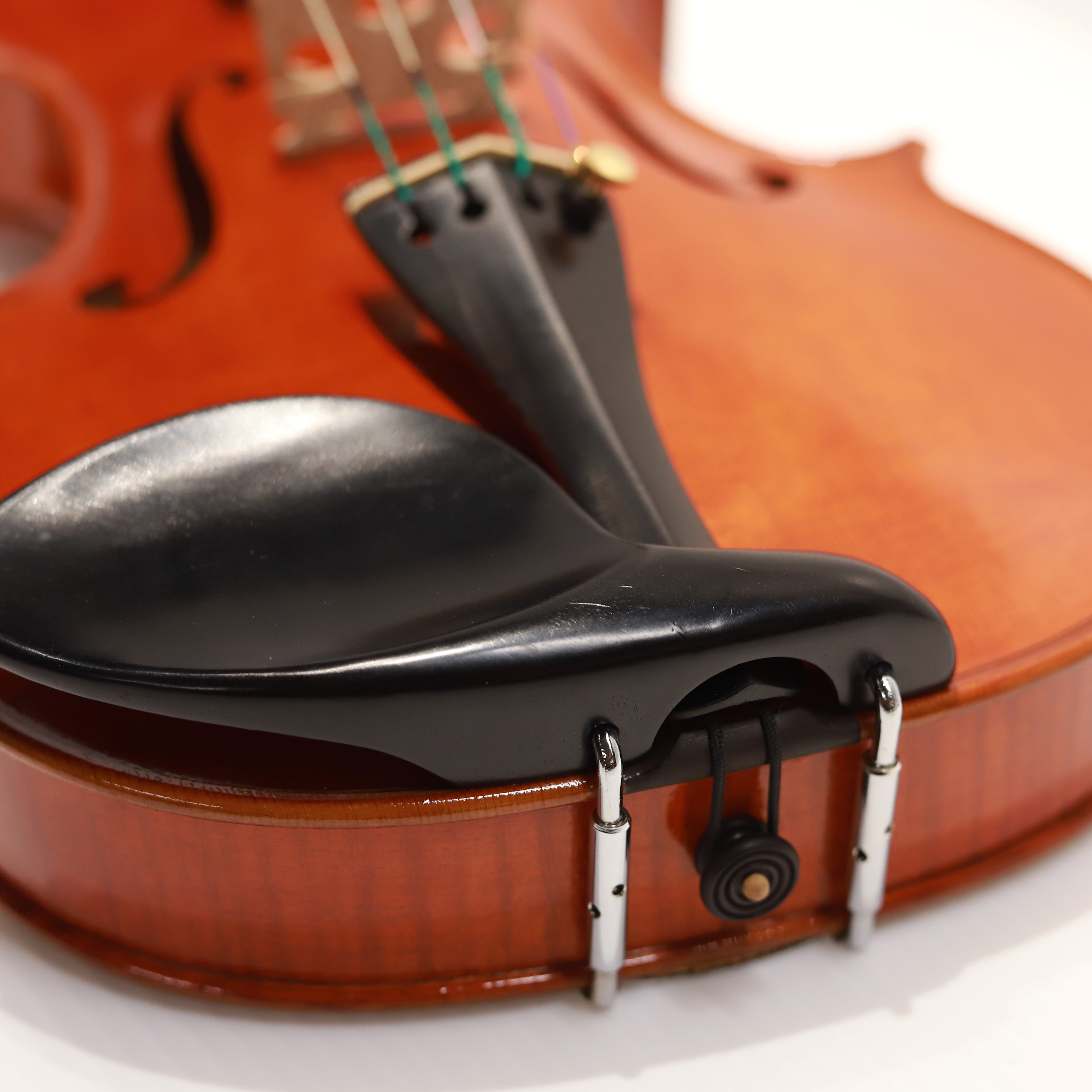 Mario Pulvirenti 小提琴202501