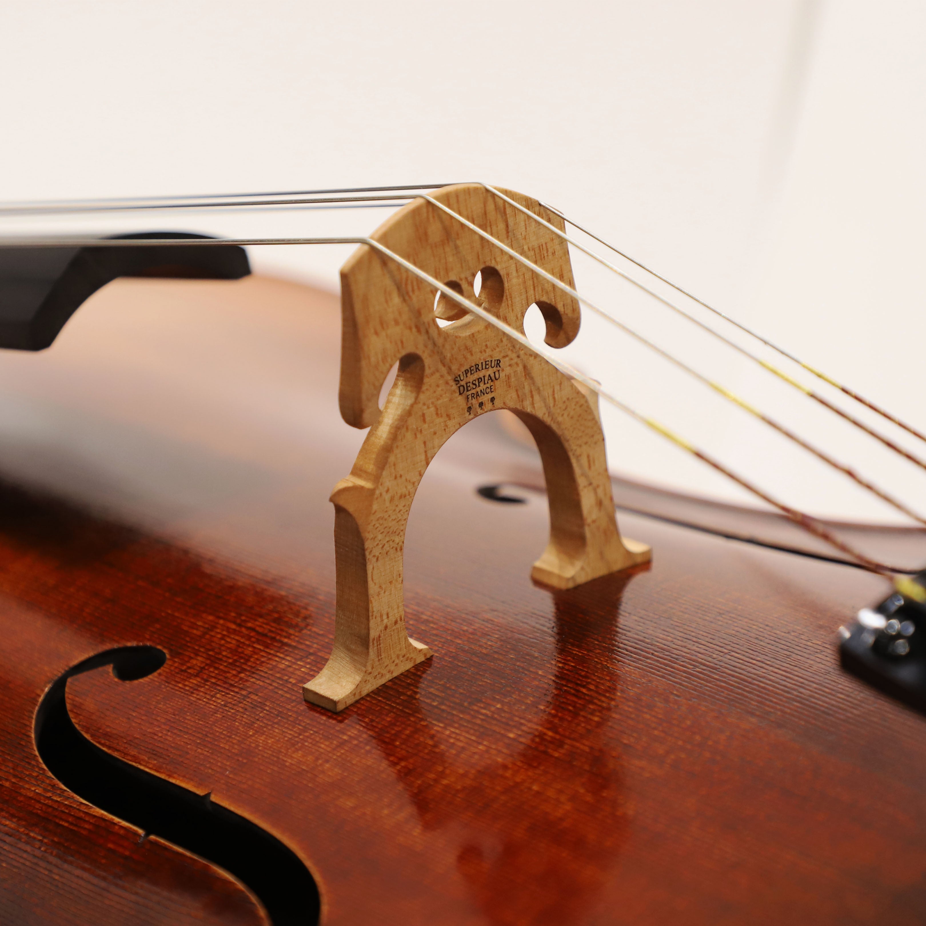 CS cello 獨奏系列大提琴 C-800