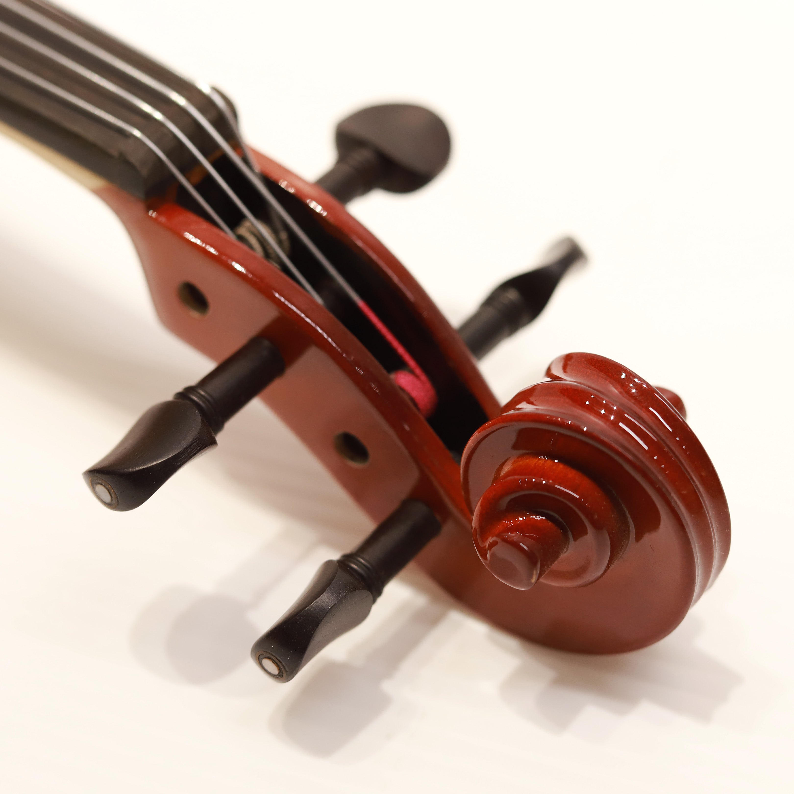 CS viola 學生系列中提琴 VA-100