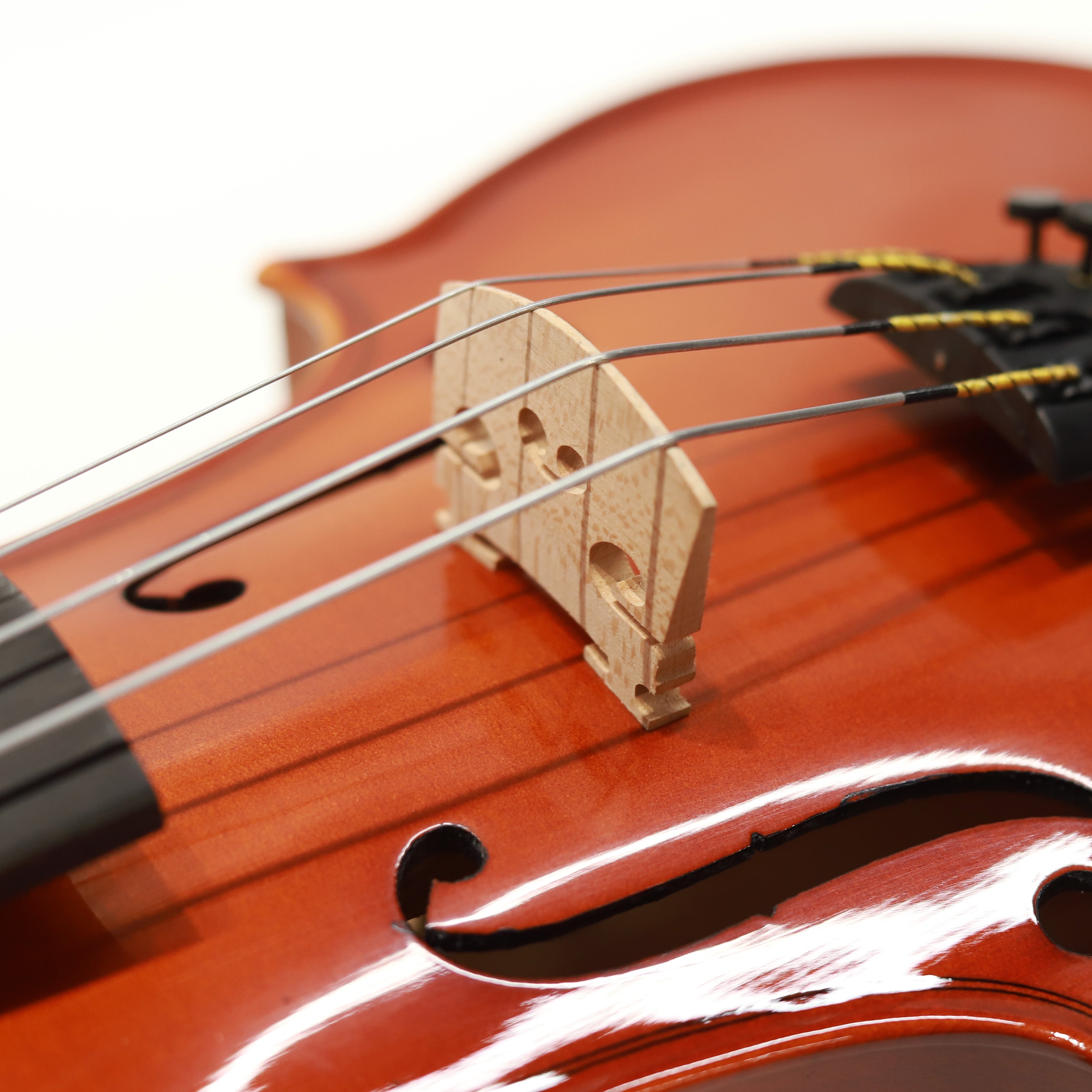 CS viola 學生系列中提琴 VA-100