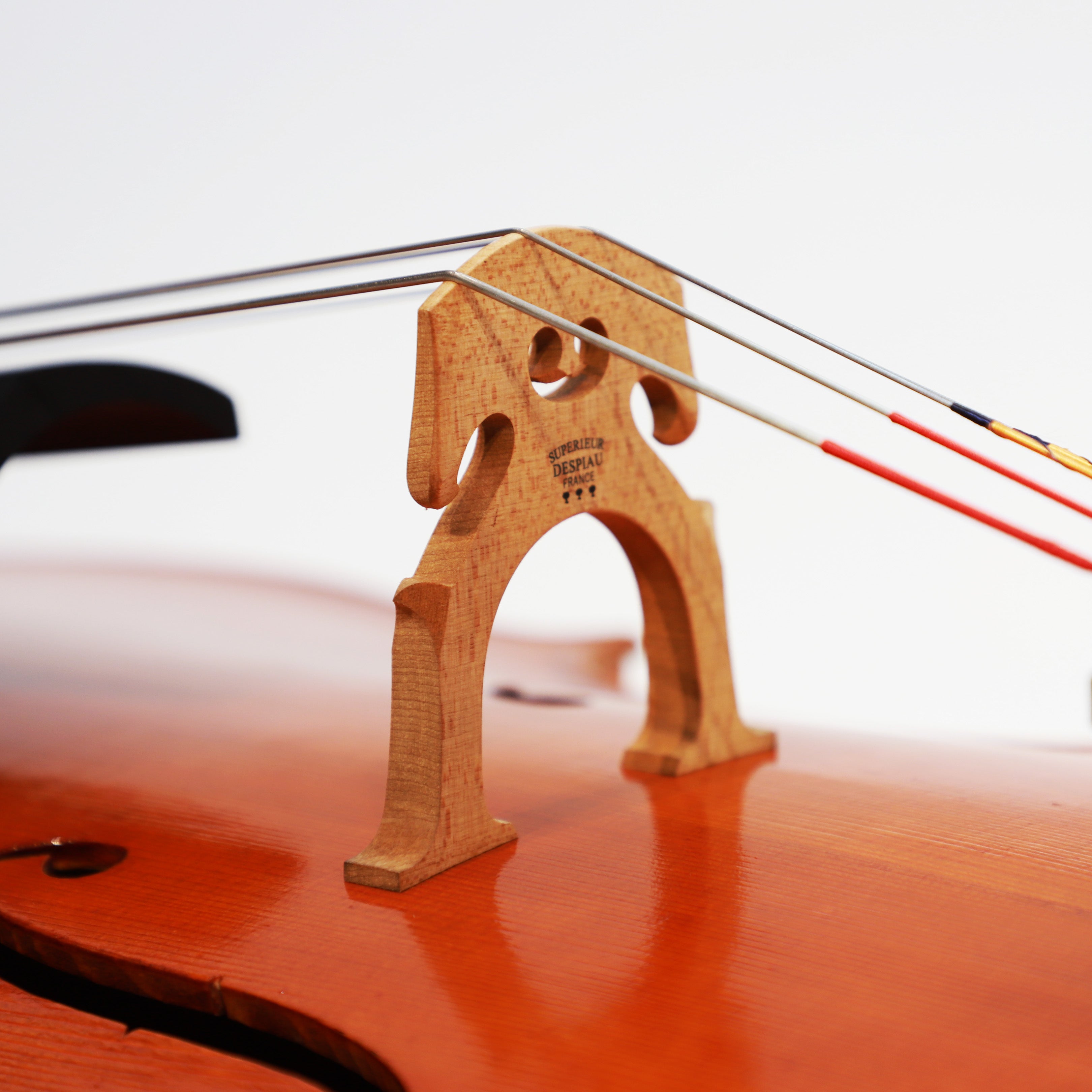 CS cello 大師系列大提琴 Master I No.05585