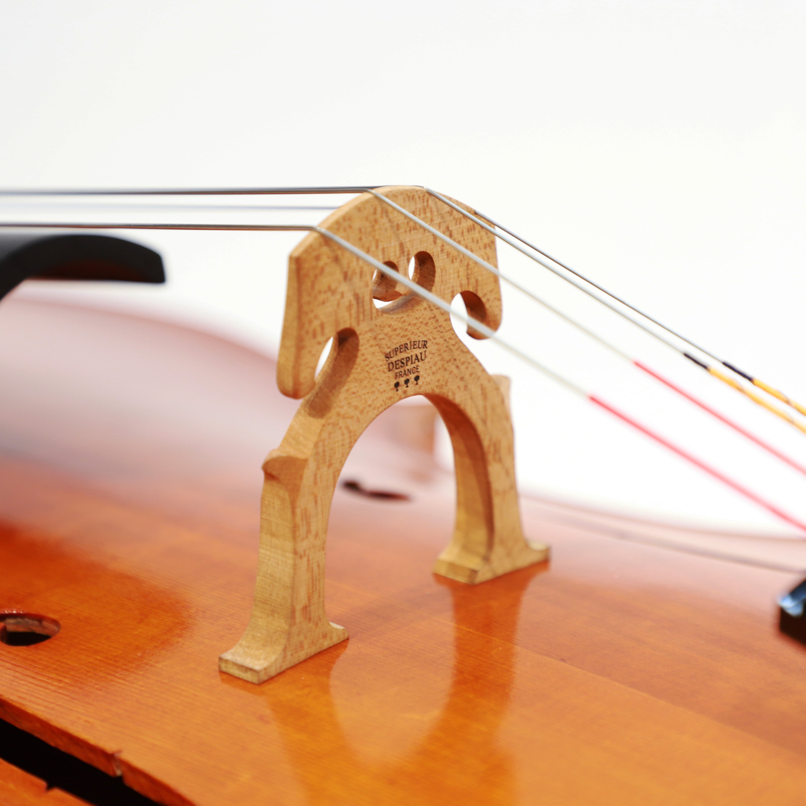 CS cello 大師系列大提琴 Master I No.05618