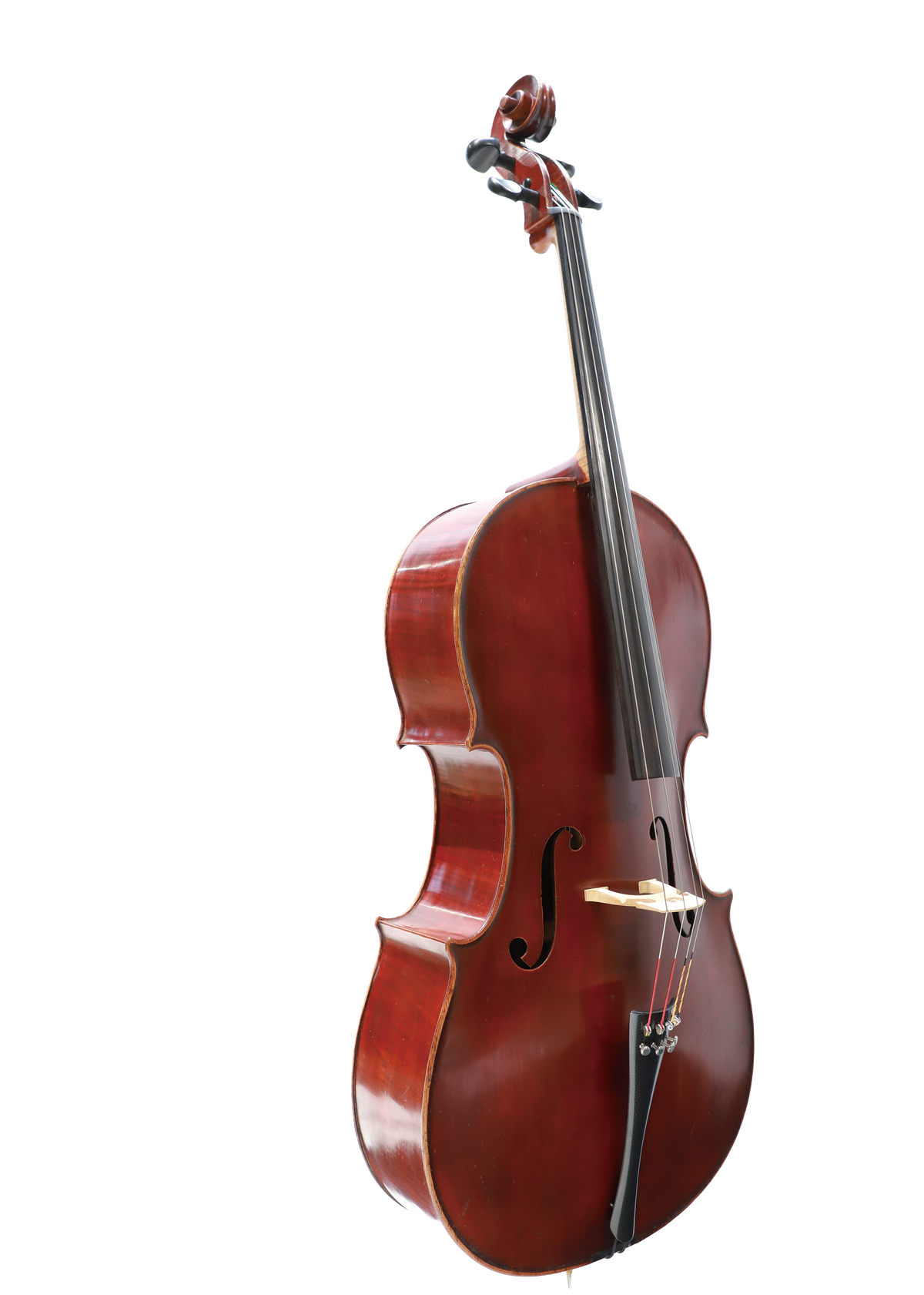 German Cello from the Early 20th Century