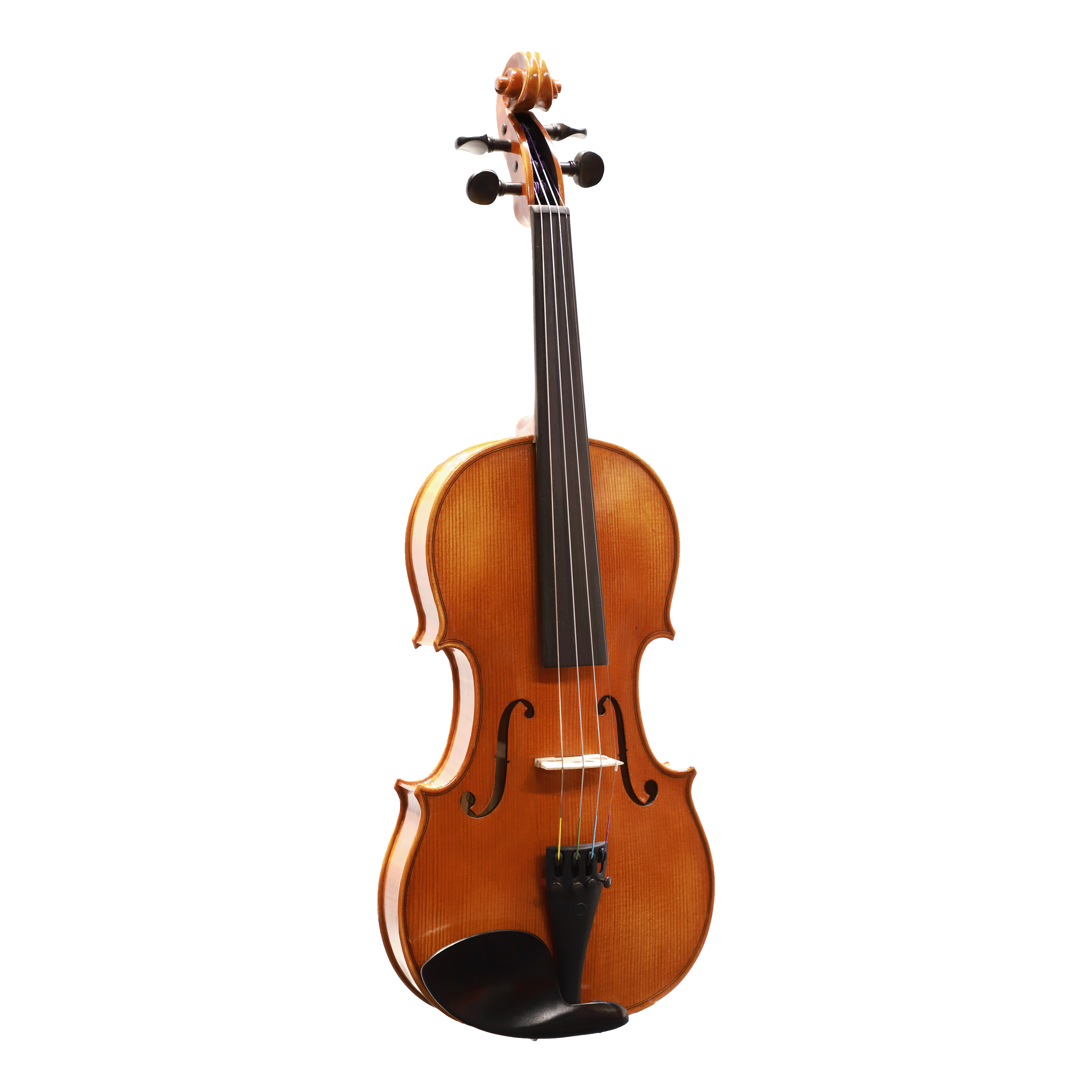Höfner H11-V小提琴