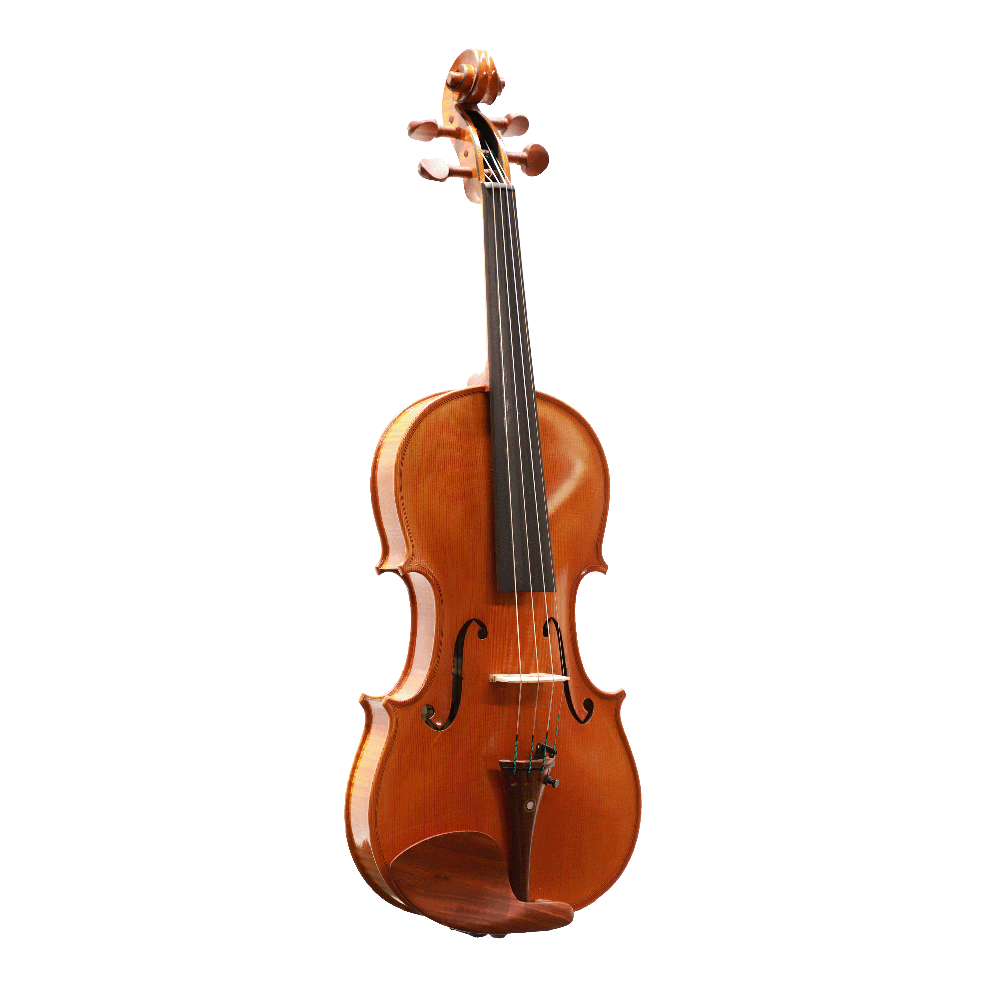 Matteo Mazzotti 小提琴202410