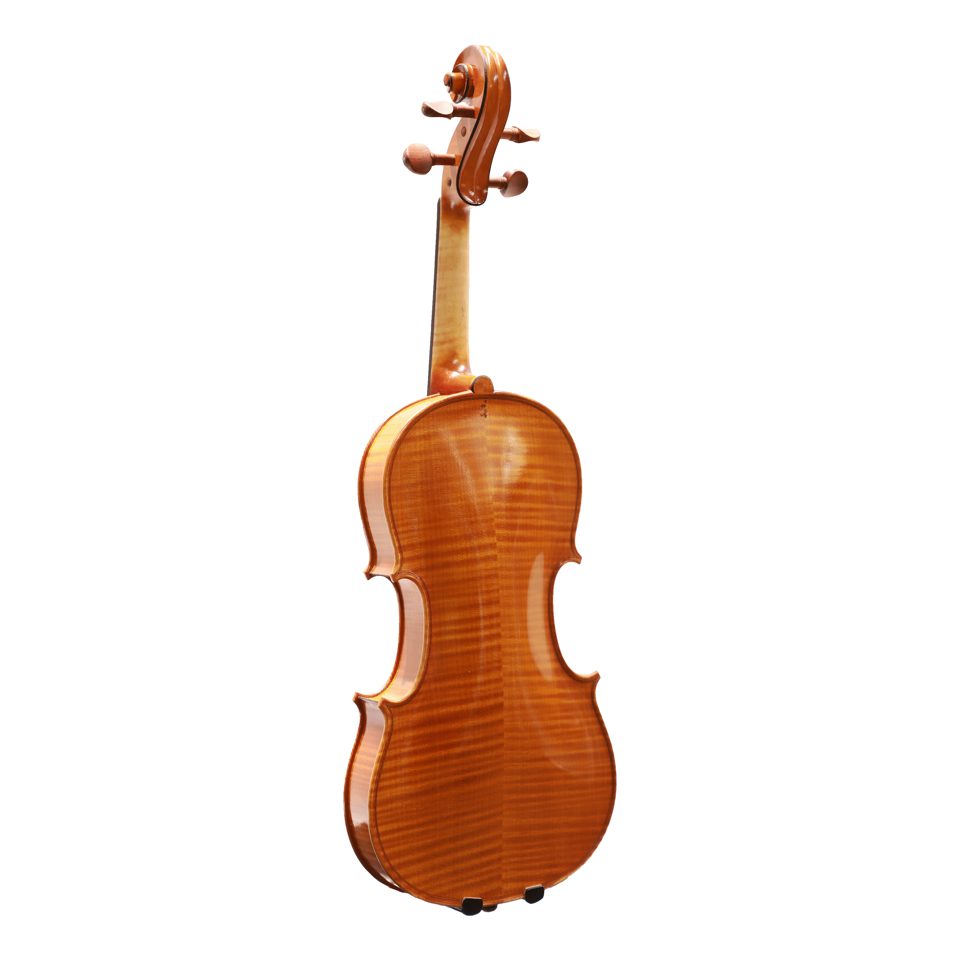 Matteo Mazzotti 小提琴202410