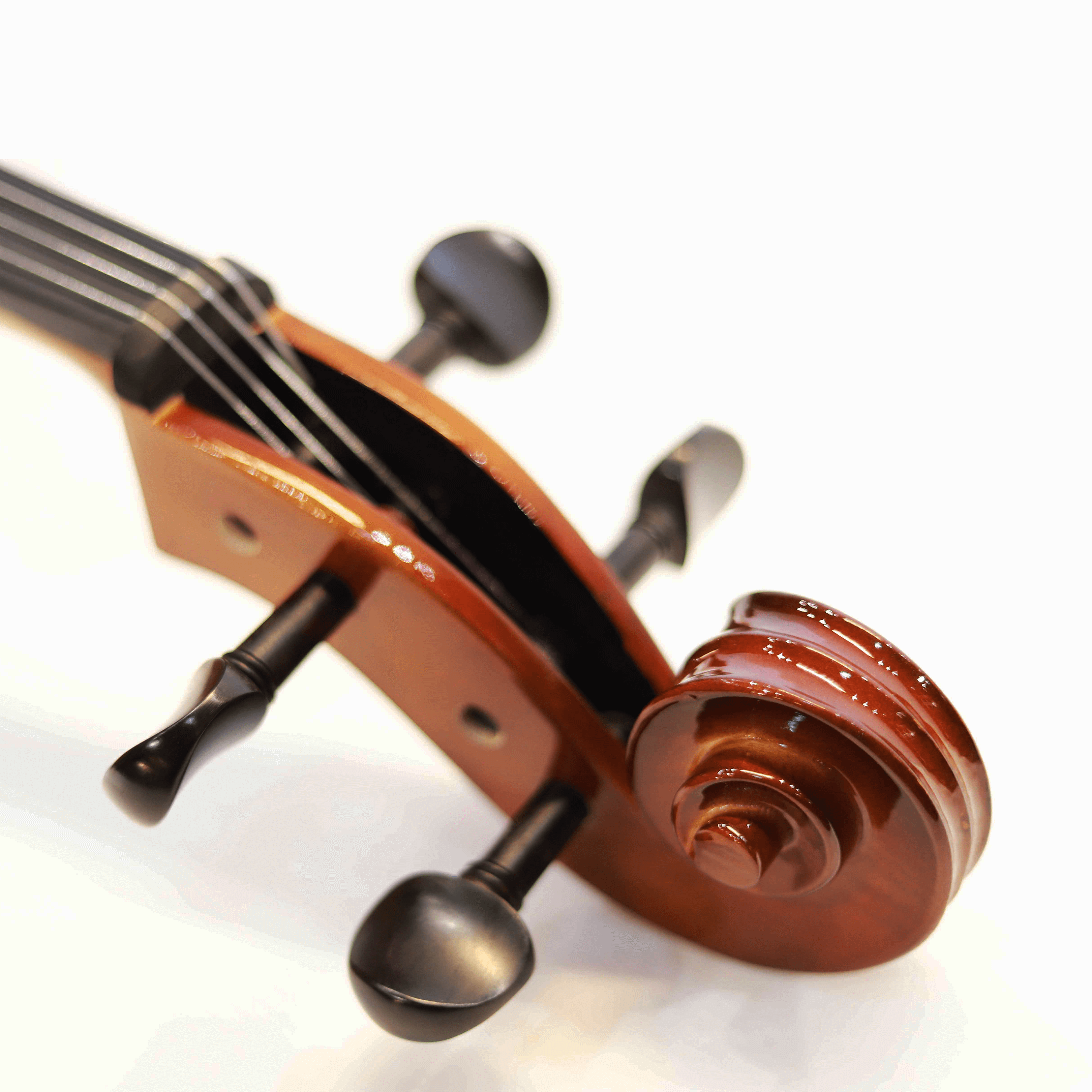 CS cello 學生系列大提琴 C-100