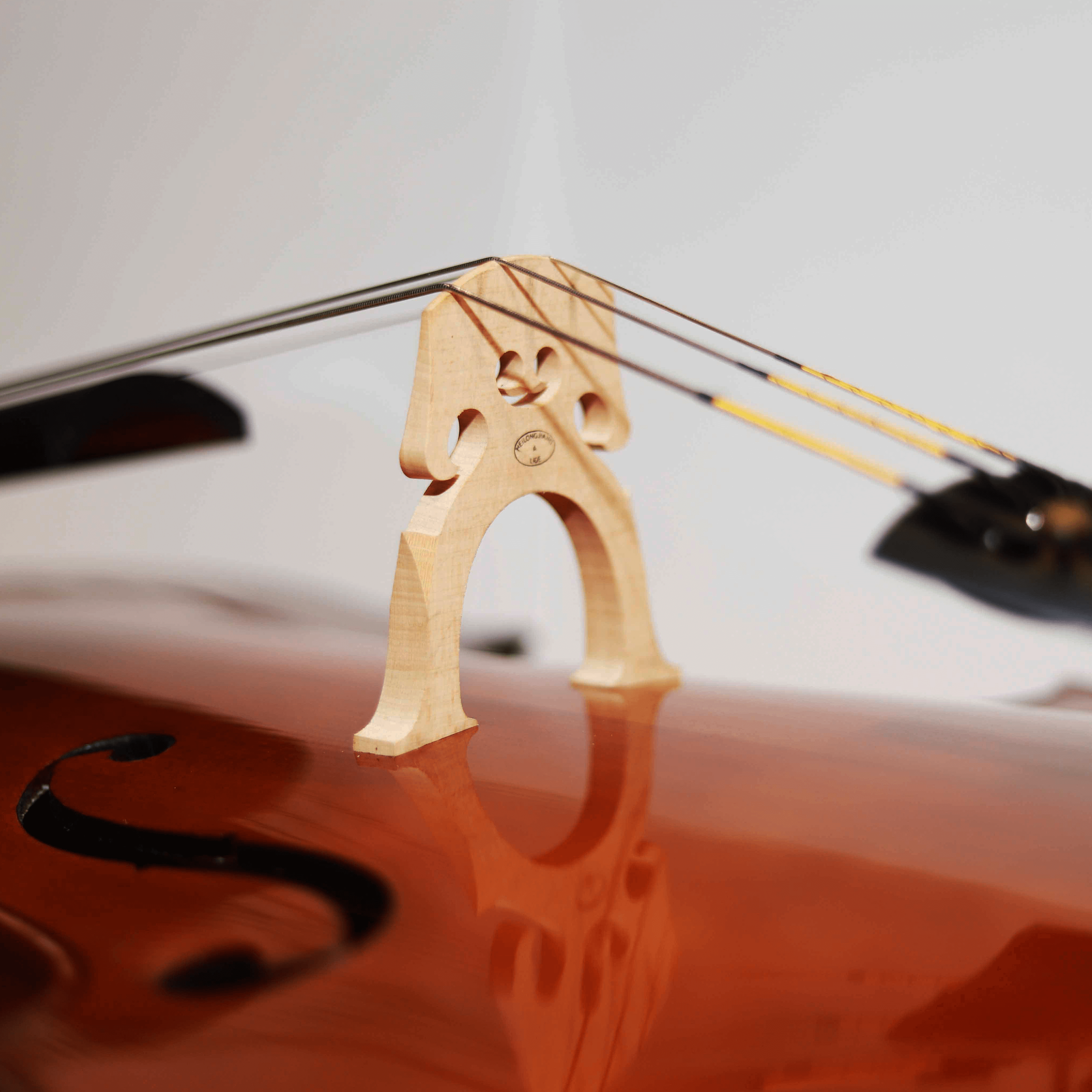 CS cello 學生系列大提琴 C-100