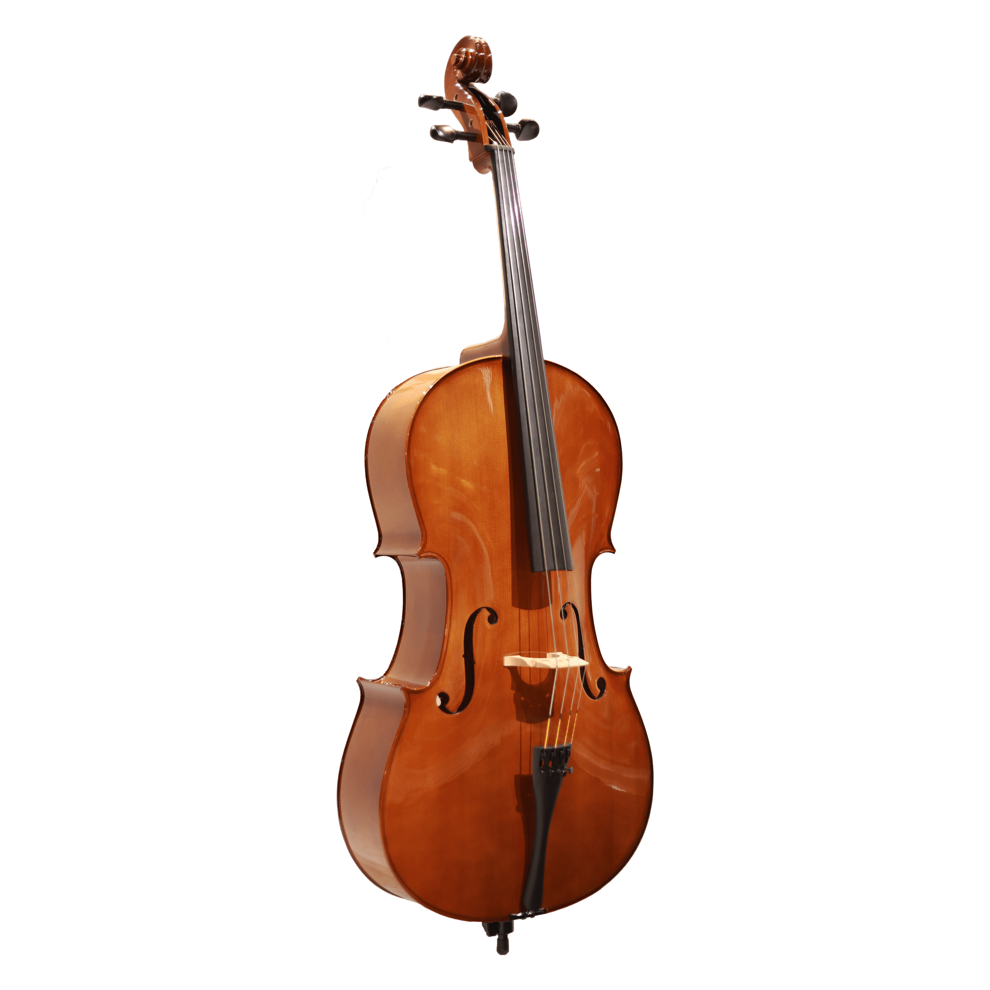 CS cello 學生系列大提琴 C-100