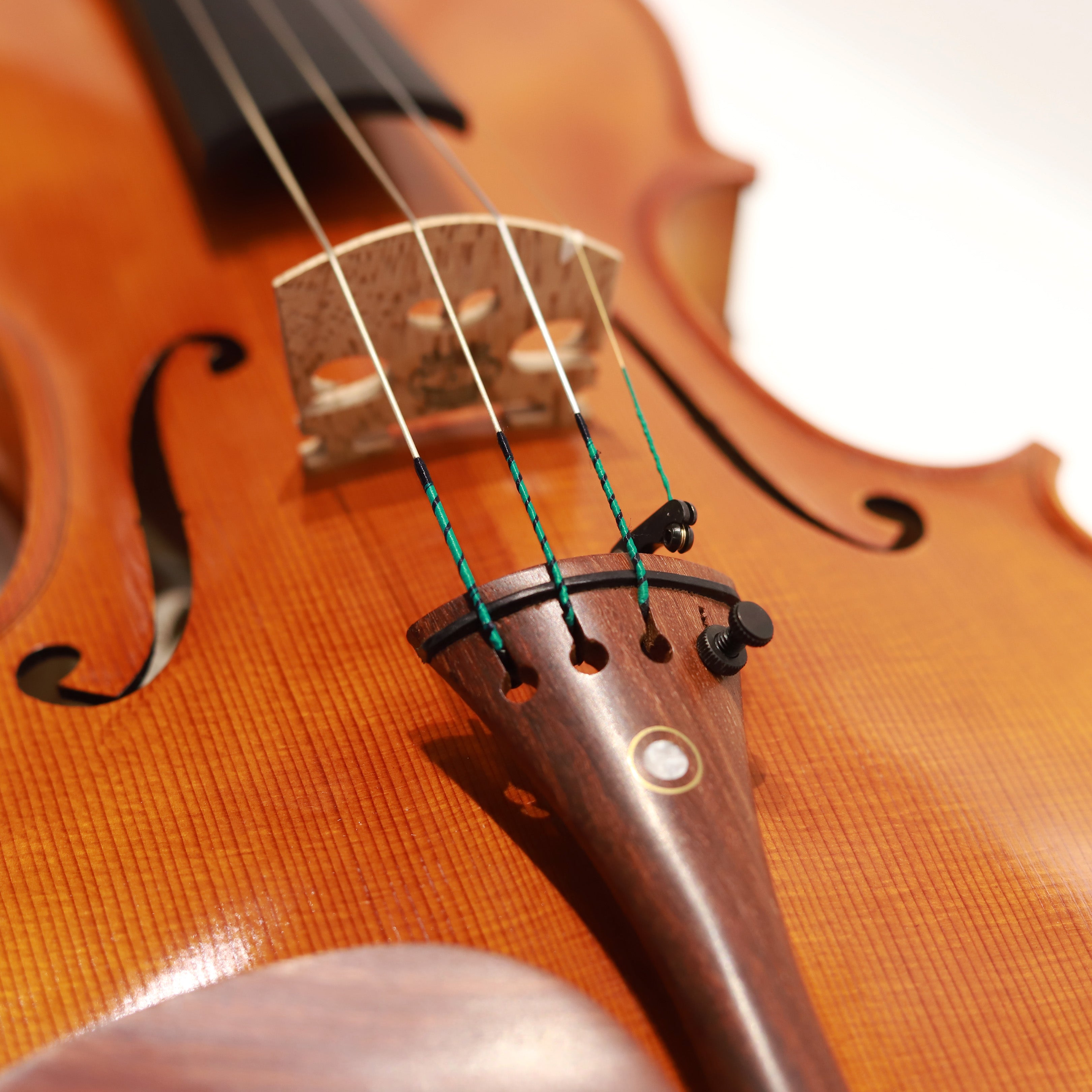 Matteo Mazzotti 小提琴202410