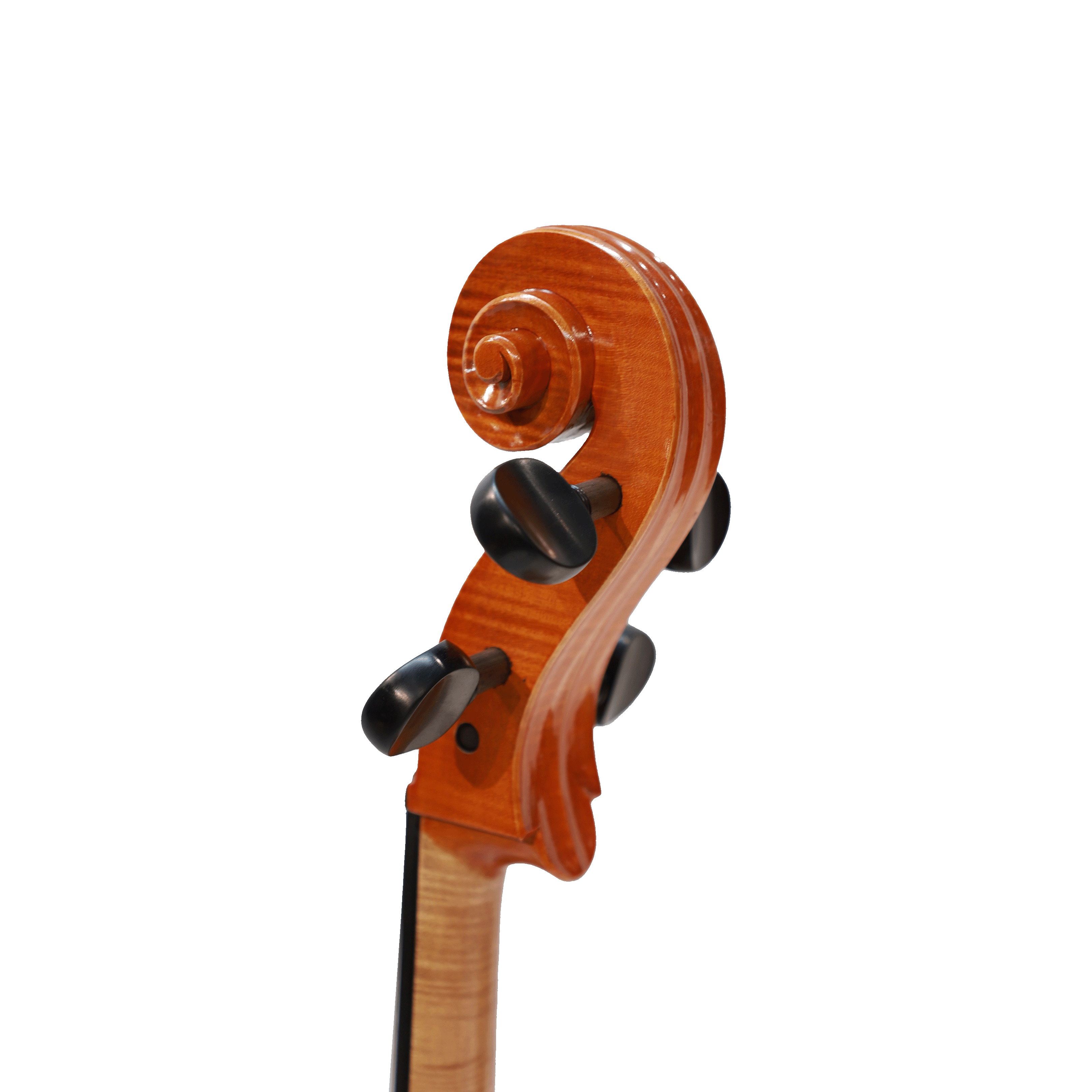 CS cello 大師系列大提琴 Master I No.05585