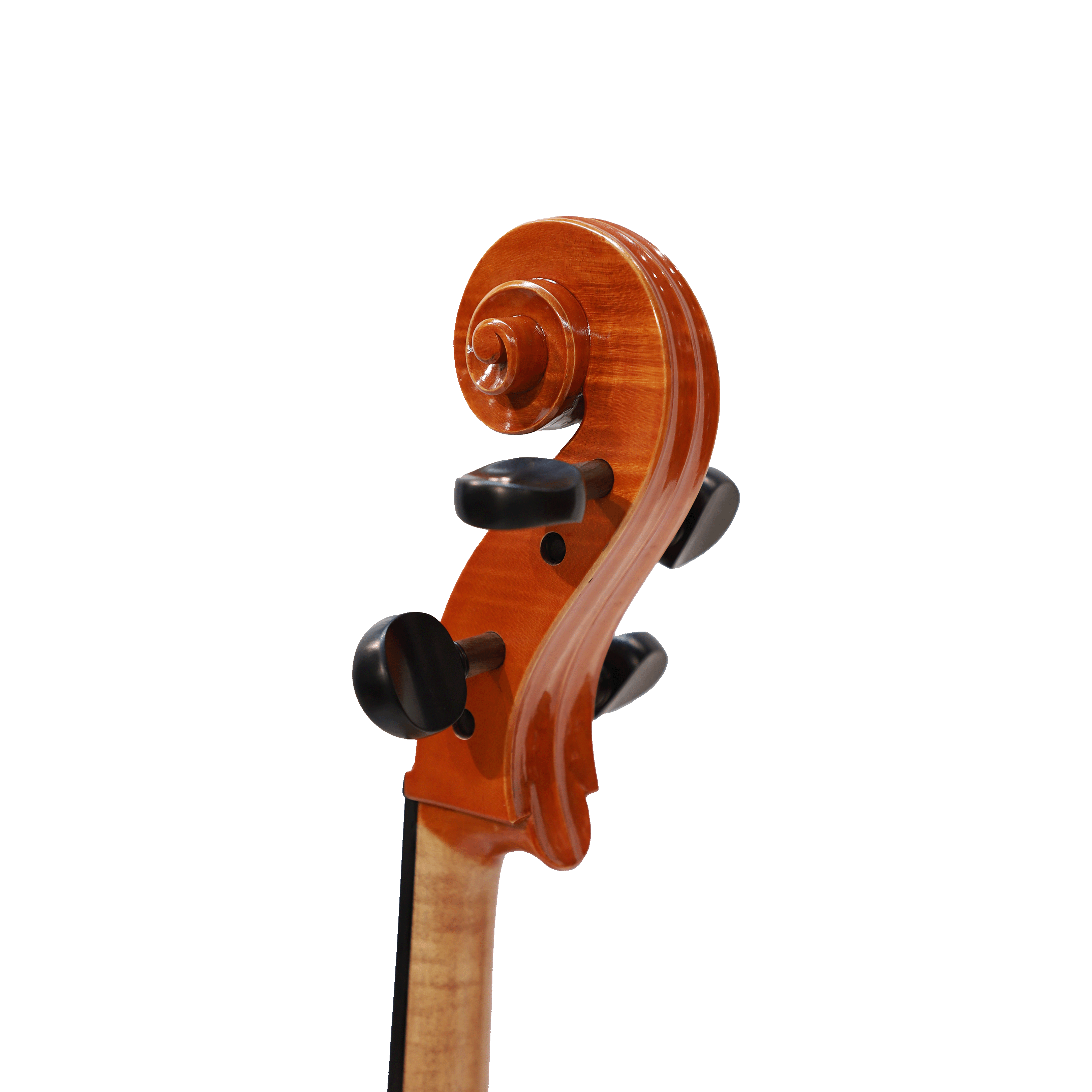 CS cello 大師系列大提琴 Master I No.05596