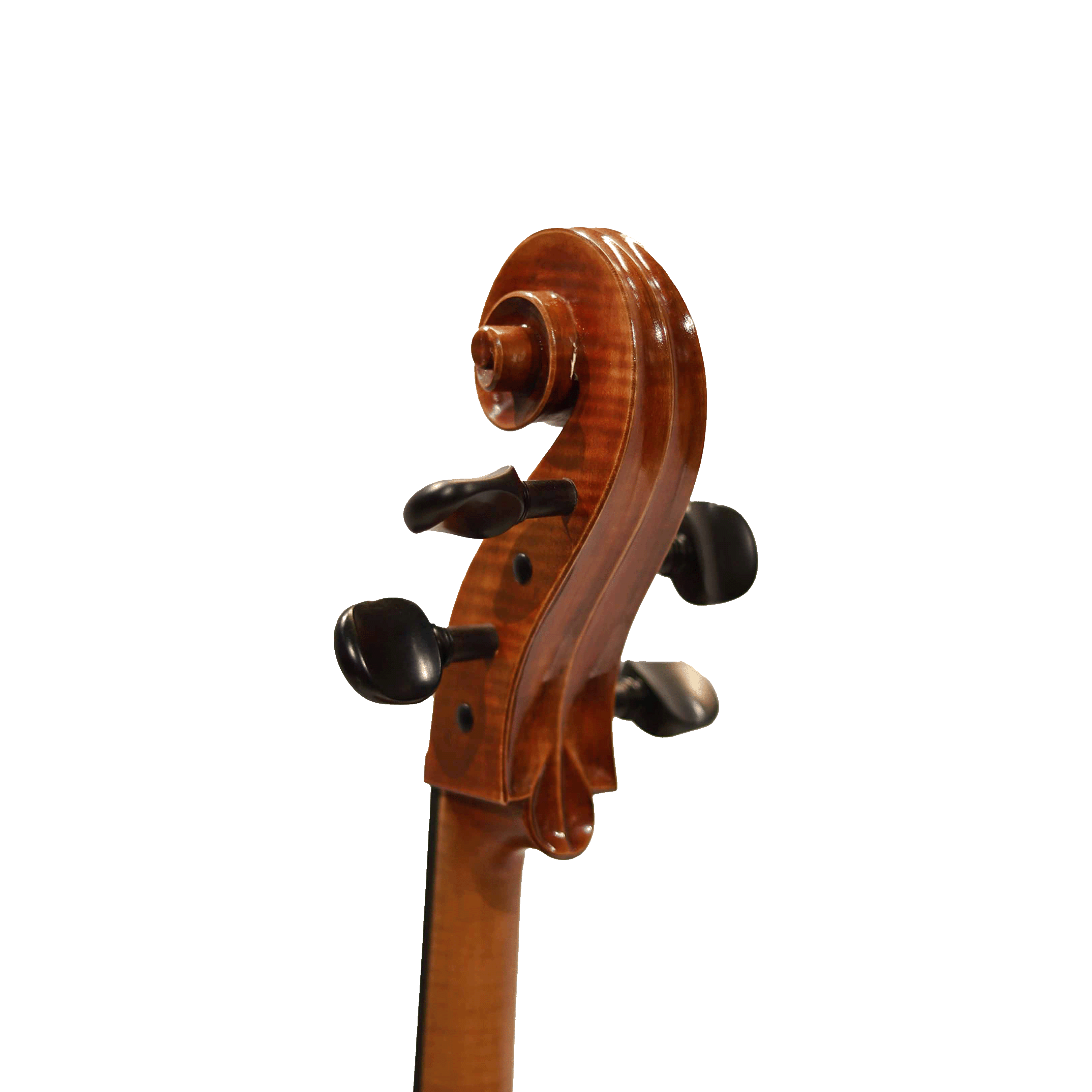 德國 Bieg Company Geigenbau 大提琴