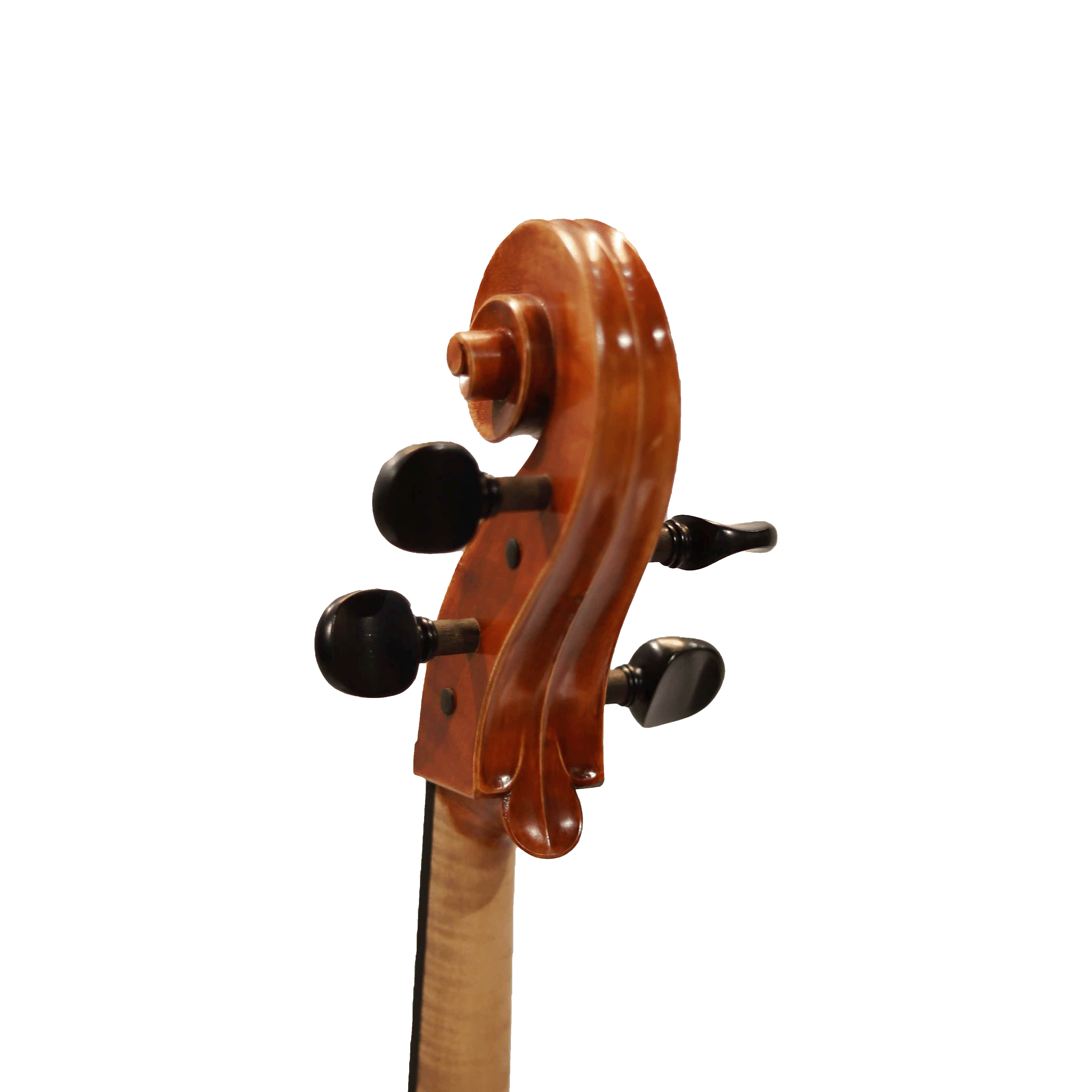 德國 Anton Stöhr #14大提琴