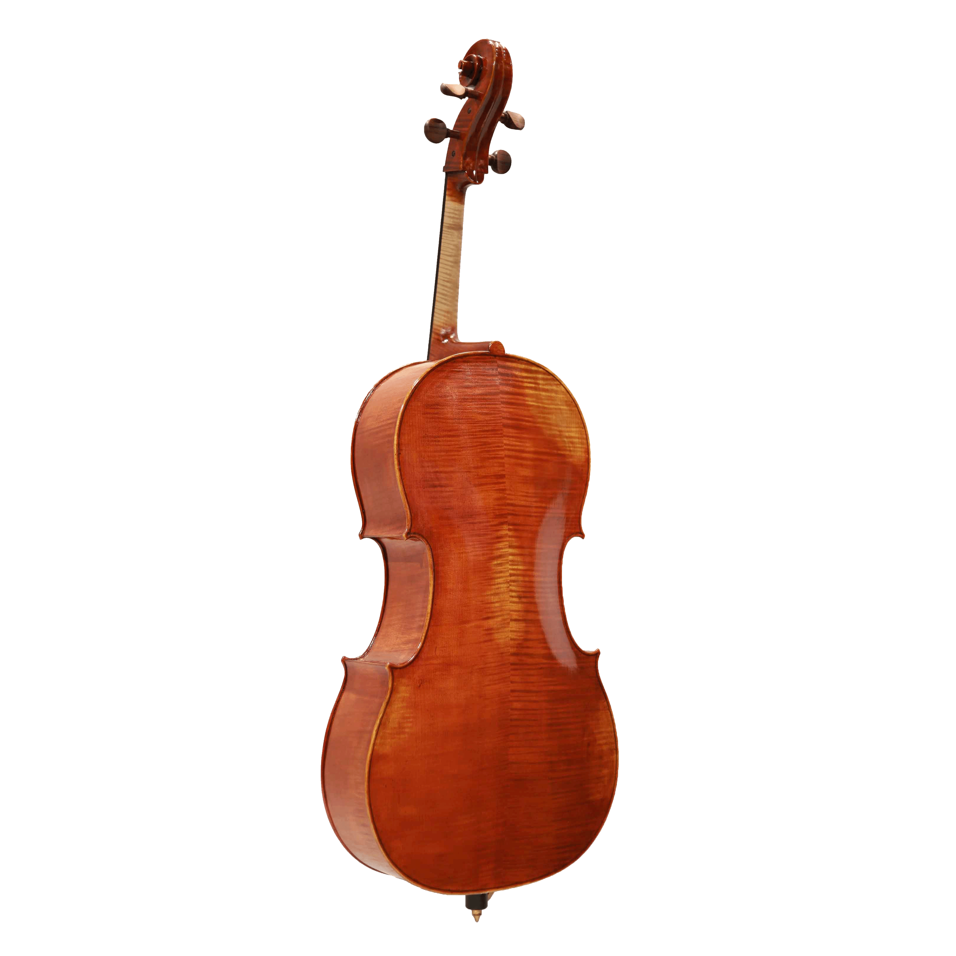 Mario Pulvirenti 大提琴