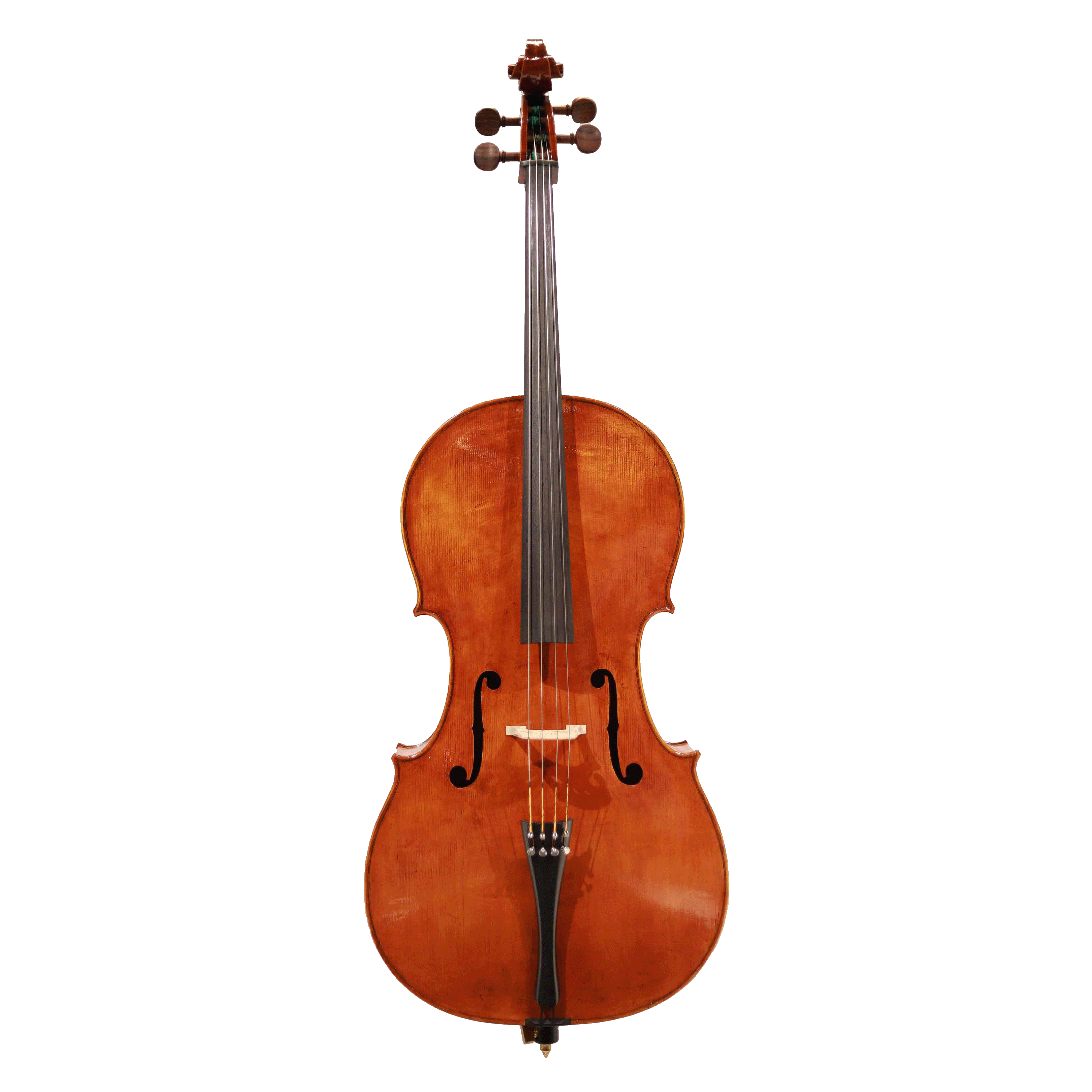 Mario Pulvirenti 大提琴