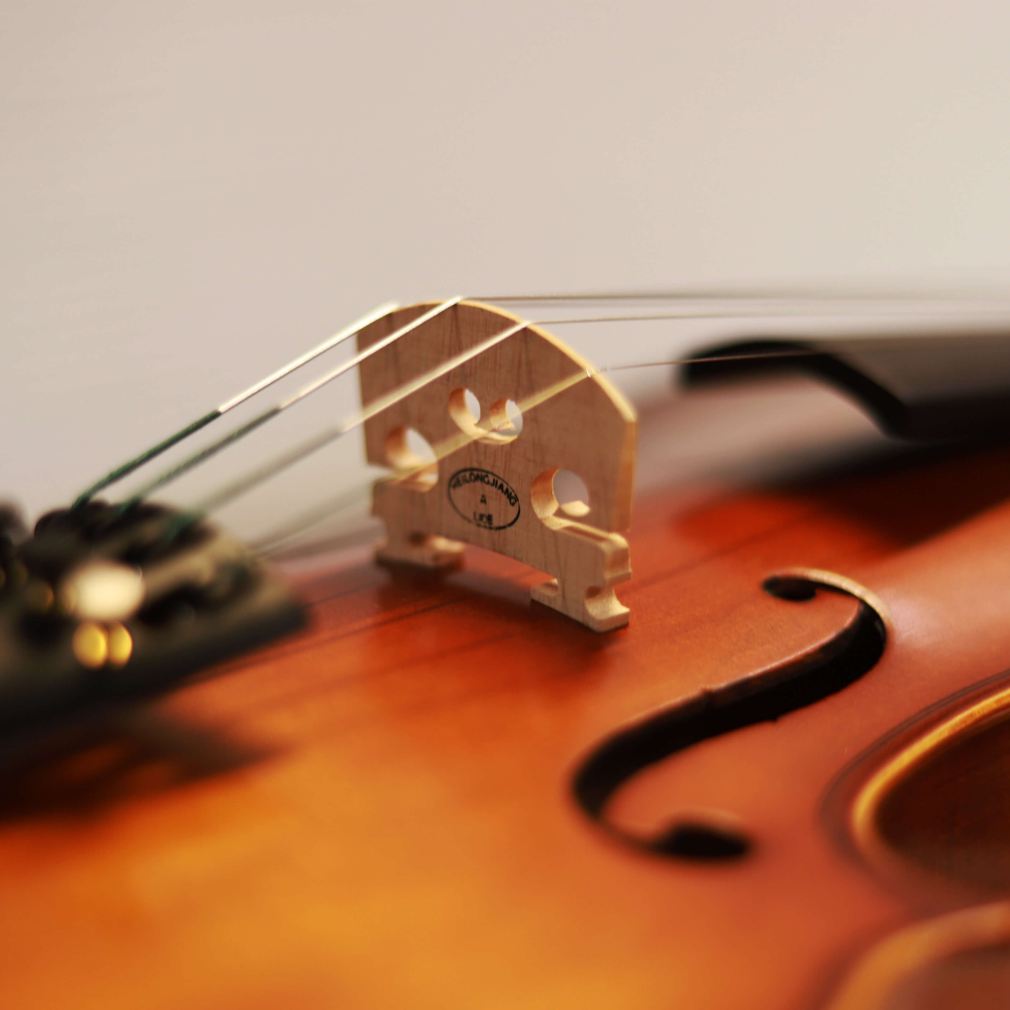 CS violin 學生系列小提琴 V-100