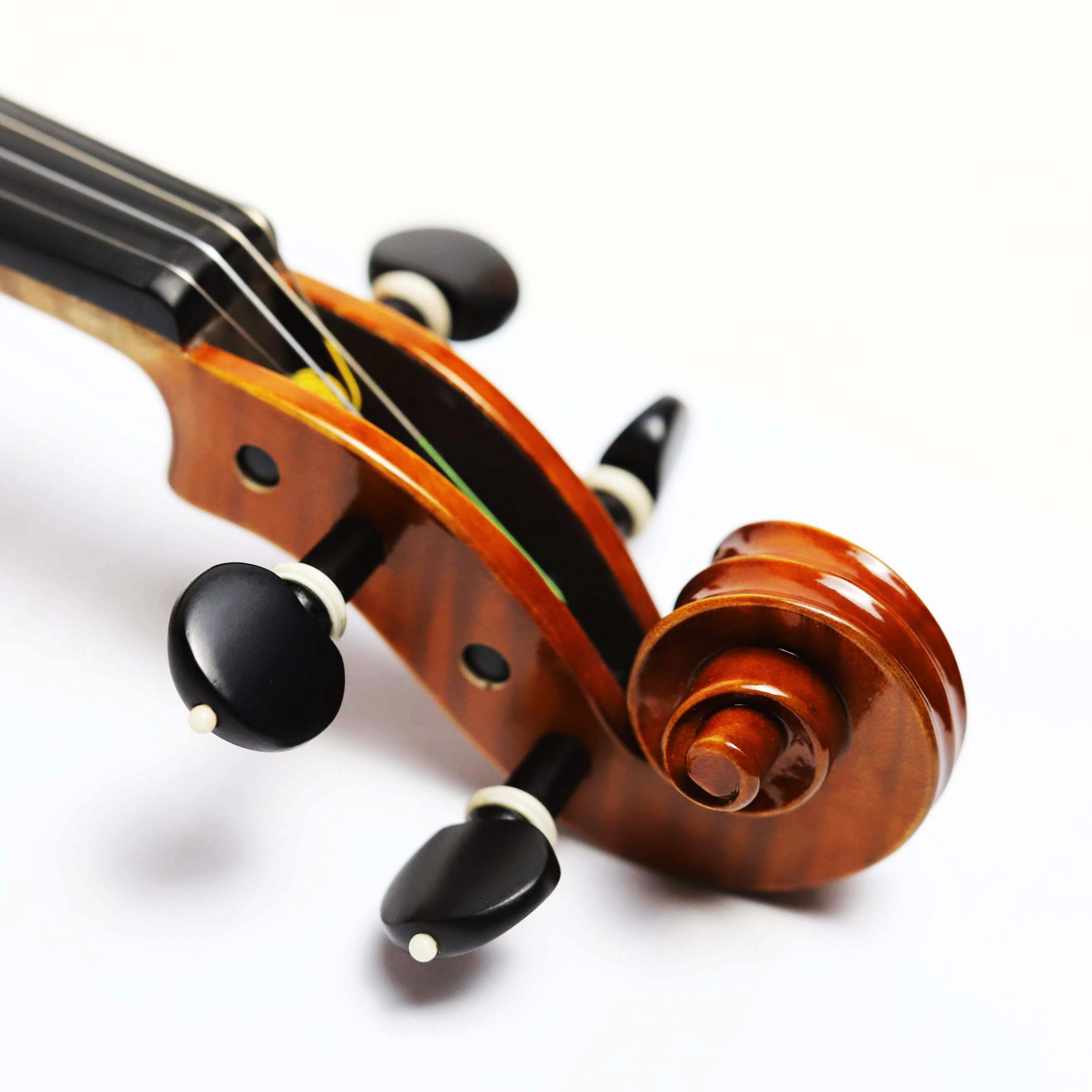 CS Violin 獨奏系列小提琴 V-800