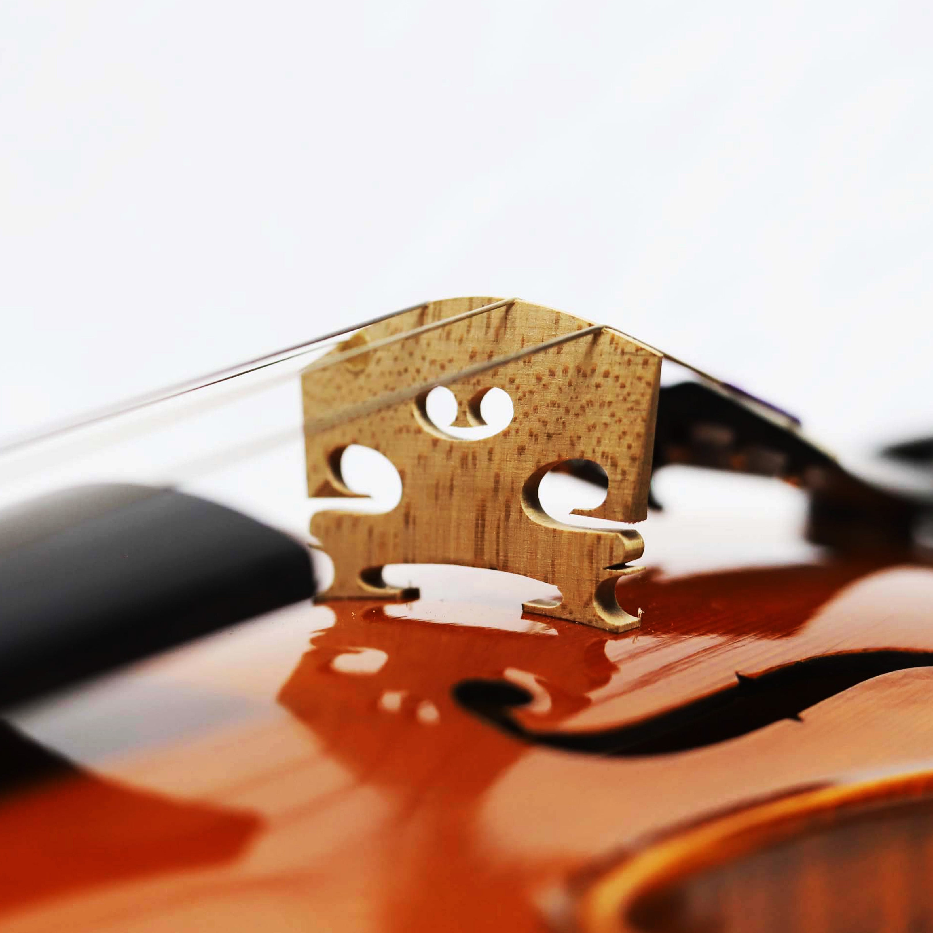 CS Violin 獨奏系列小提琴 V-800