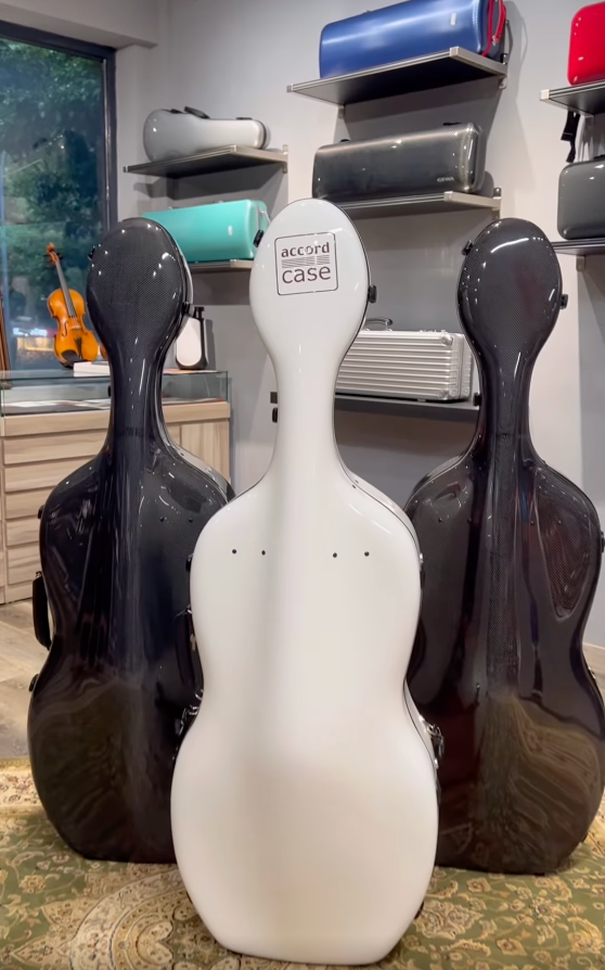 Accord Cello Cases