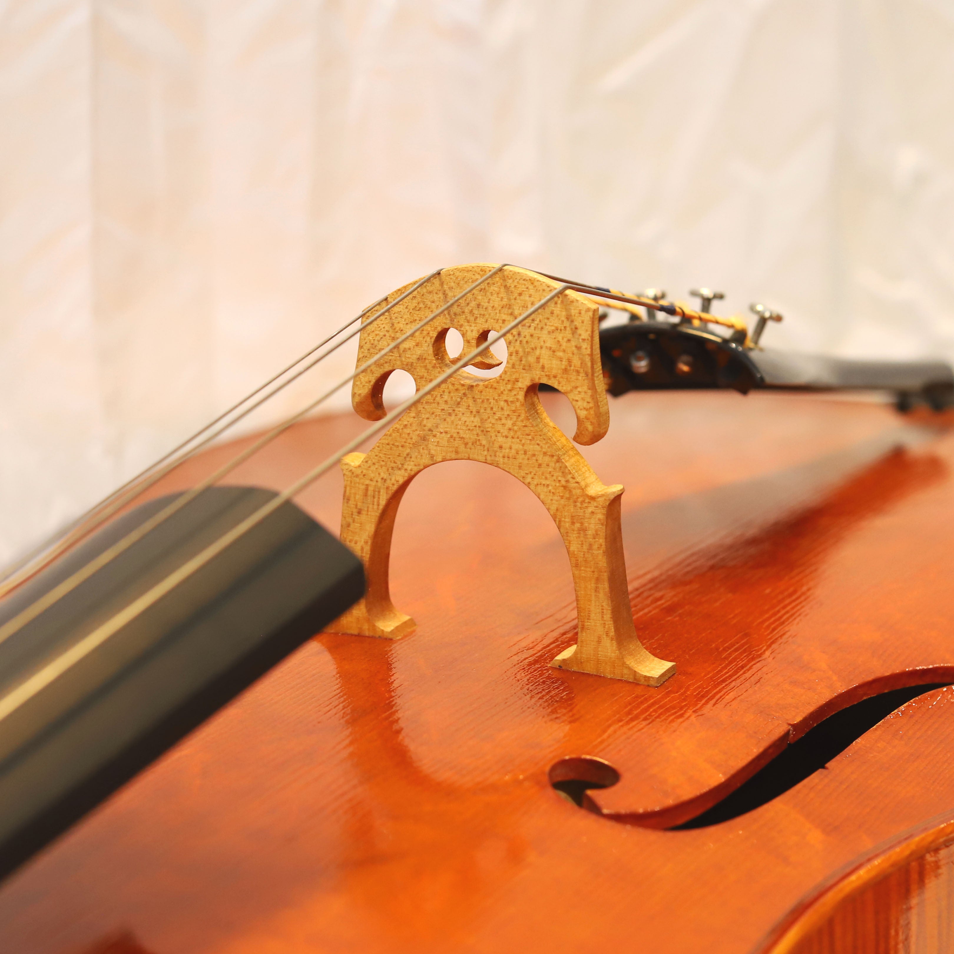 CS cello 大師系列大提琴 Master II No.05804