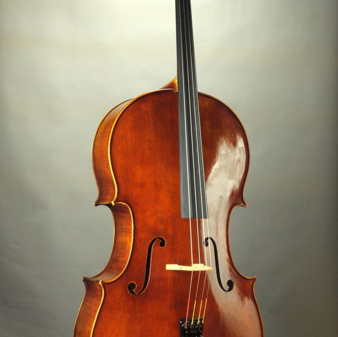 德國 Klaus Ludwig Clement C5 Strad 大提琴