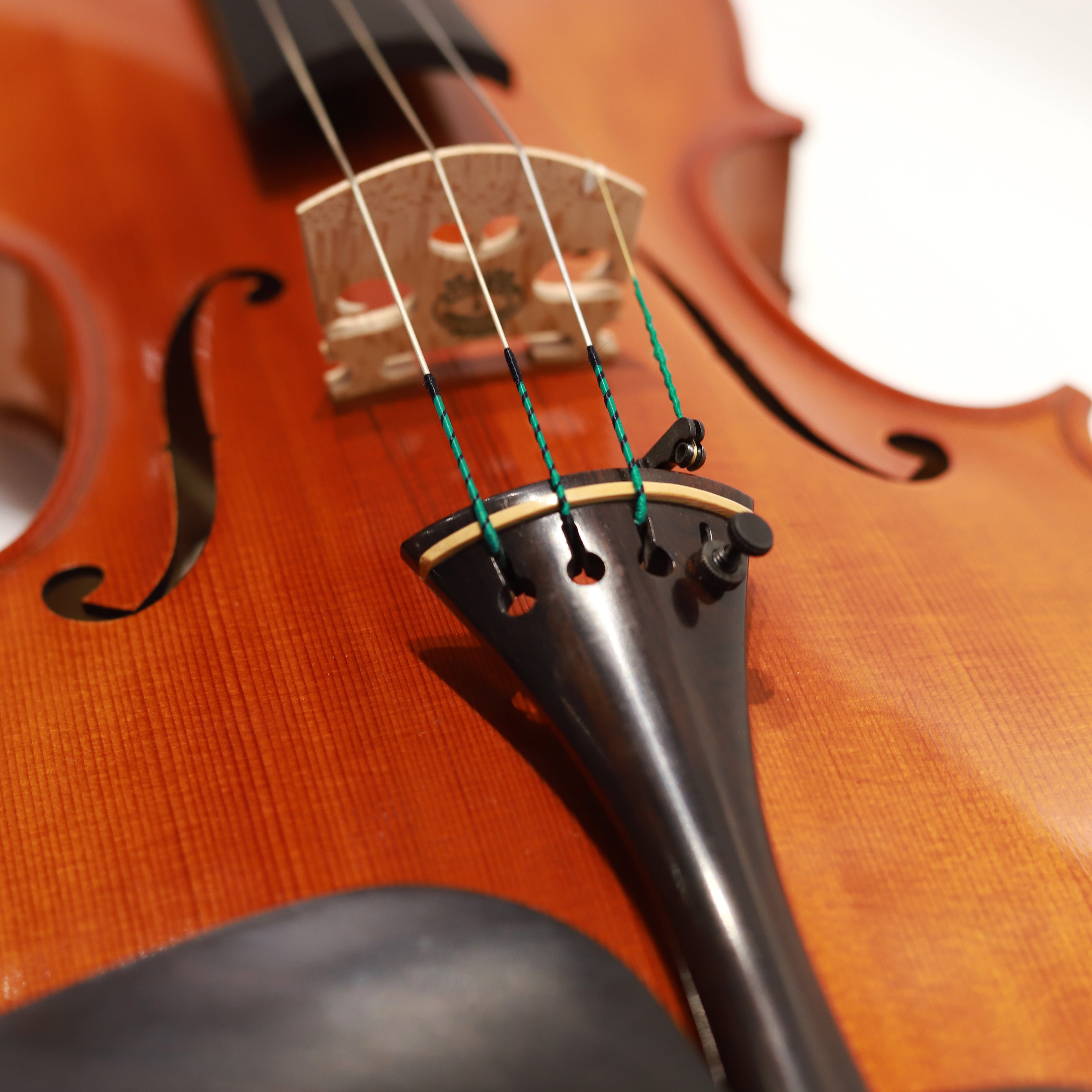 Matteo Mazzotti 2024 Cremona三年賽參賽小提琴