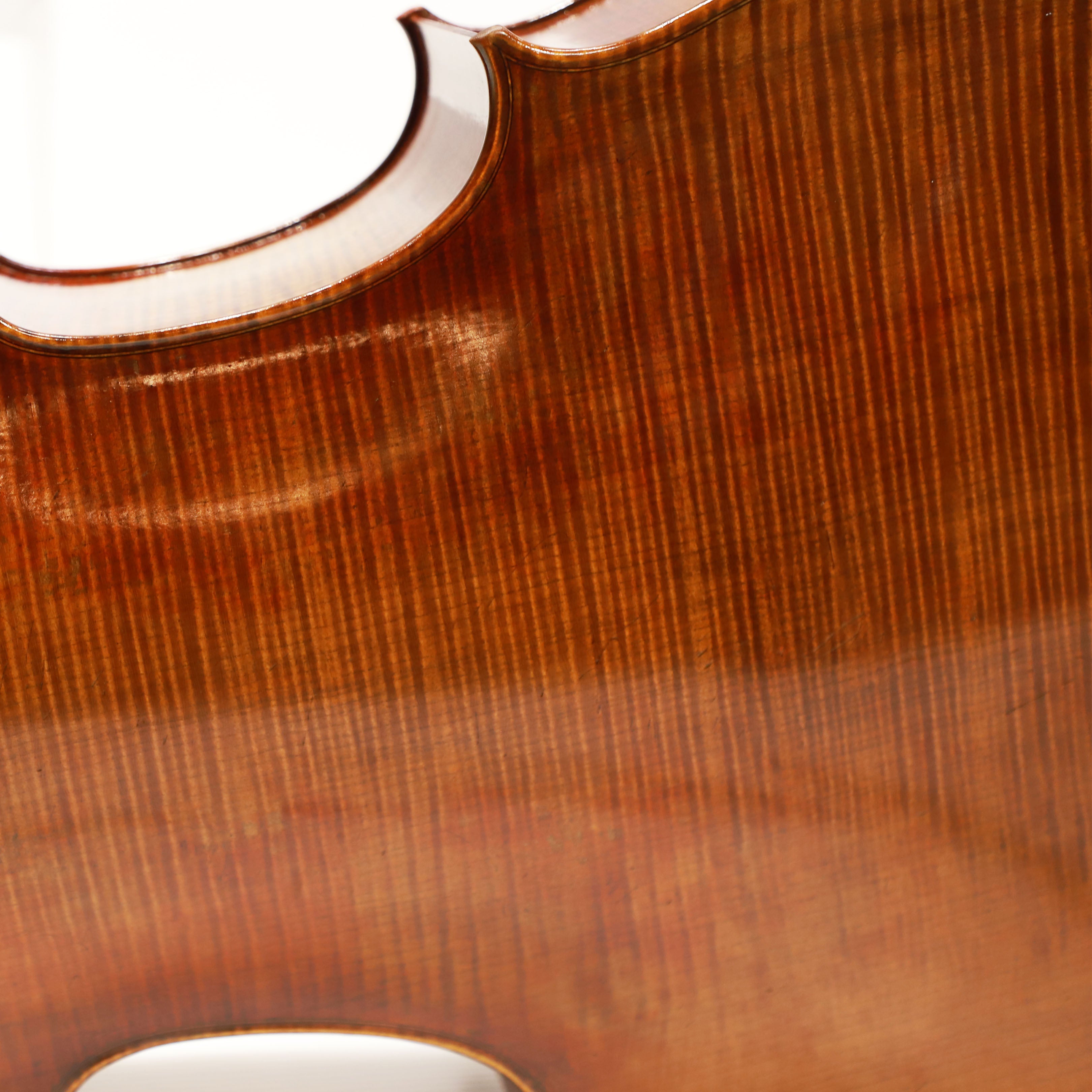 CS cello 大師系列大提琴 Master II No.05801