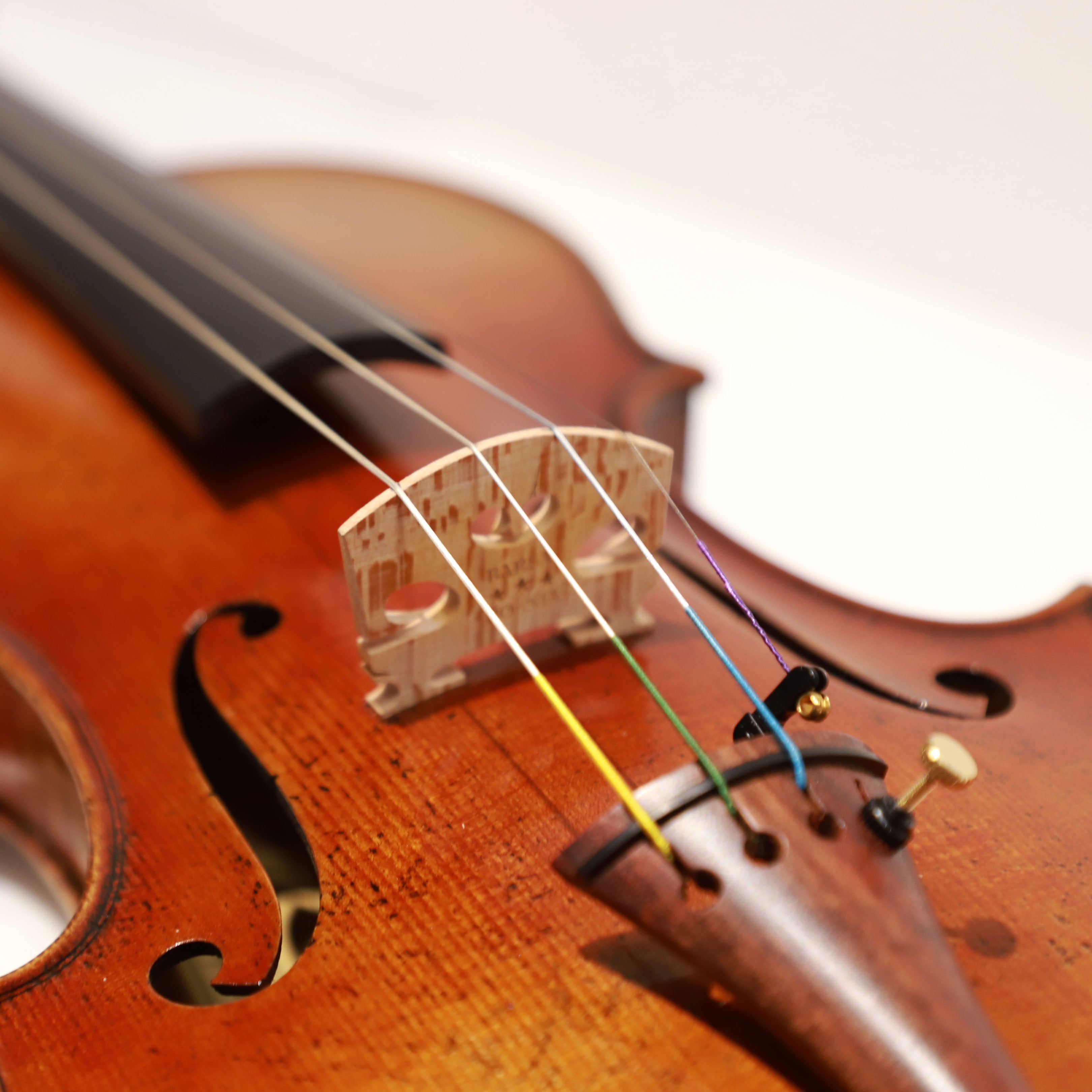 鄭本軍小提琴v-02