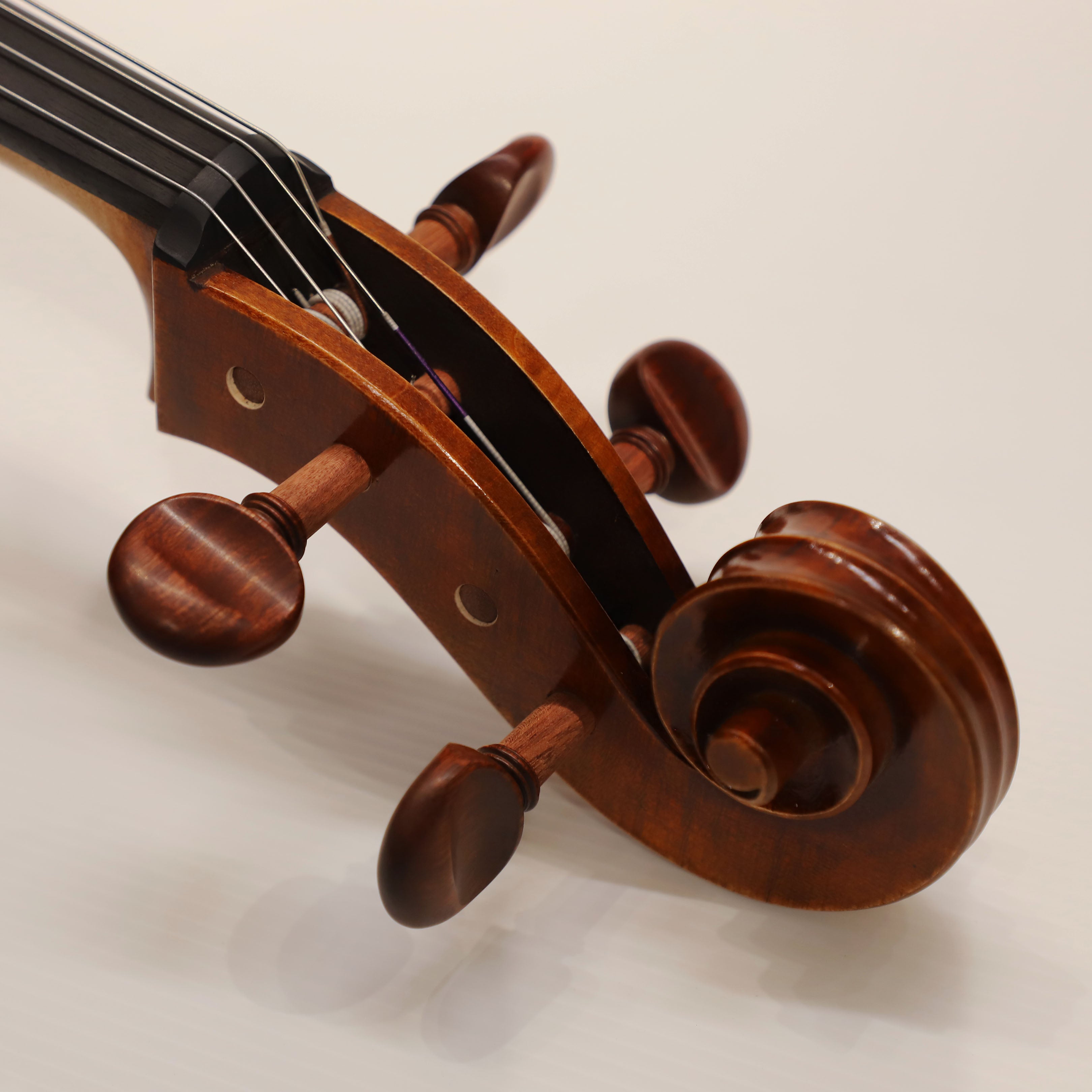 CS cello 獨奏系列大提琴 C-800