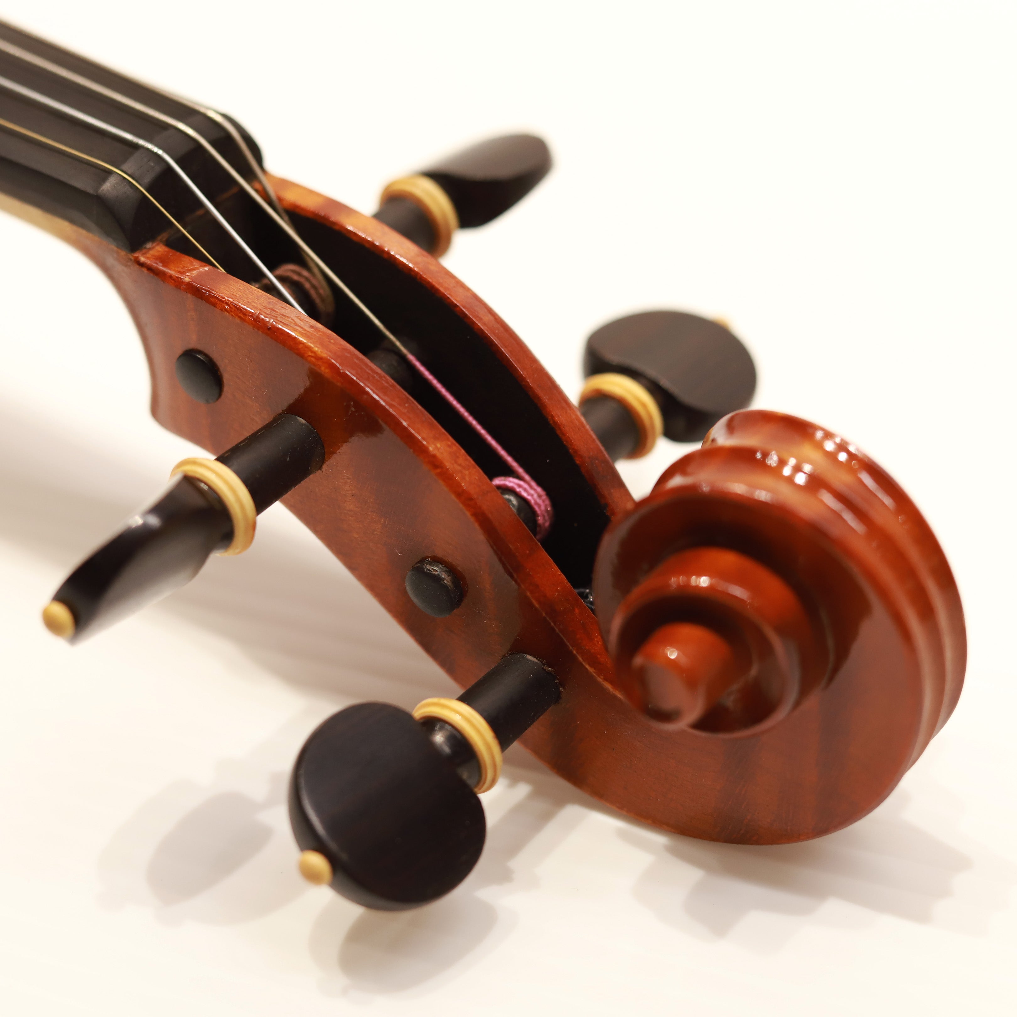 Matteo Mazzotti 2024 Cremona三年賽參賽小提琴