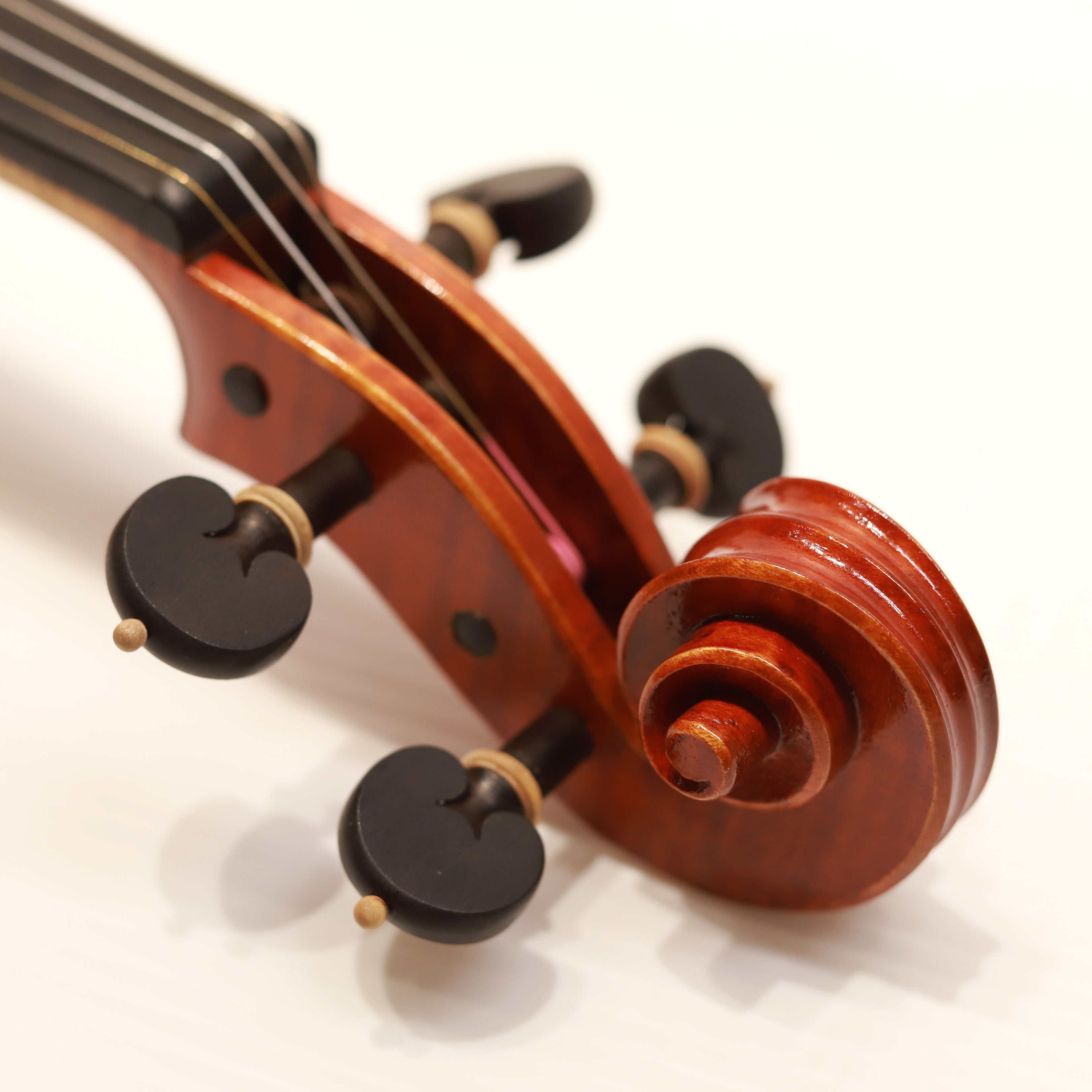 Mario Pulvirenti 小提琴202501