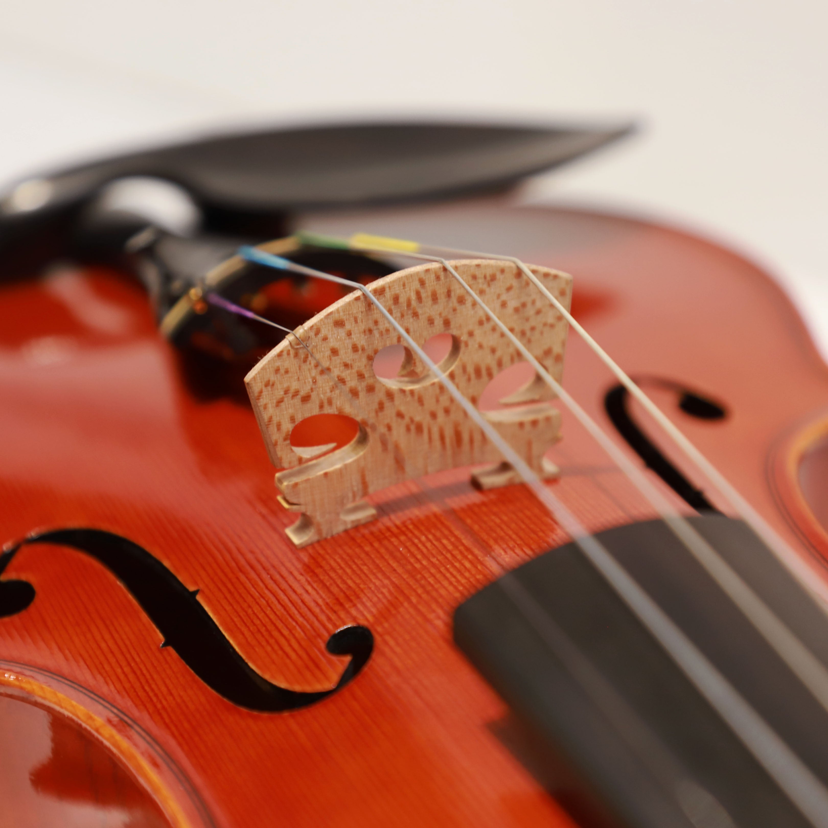 鄭本軍小提琴v-03