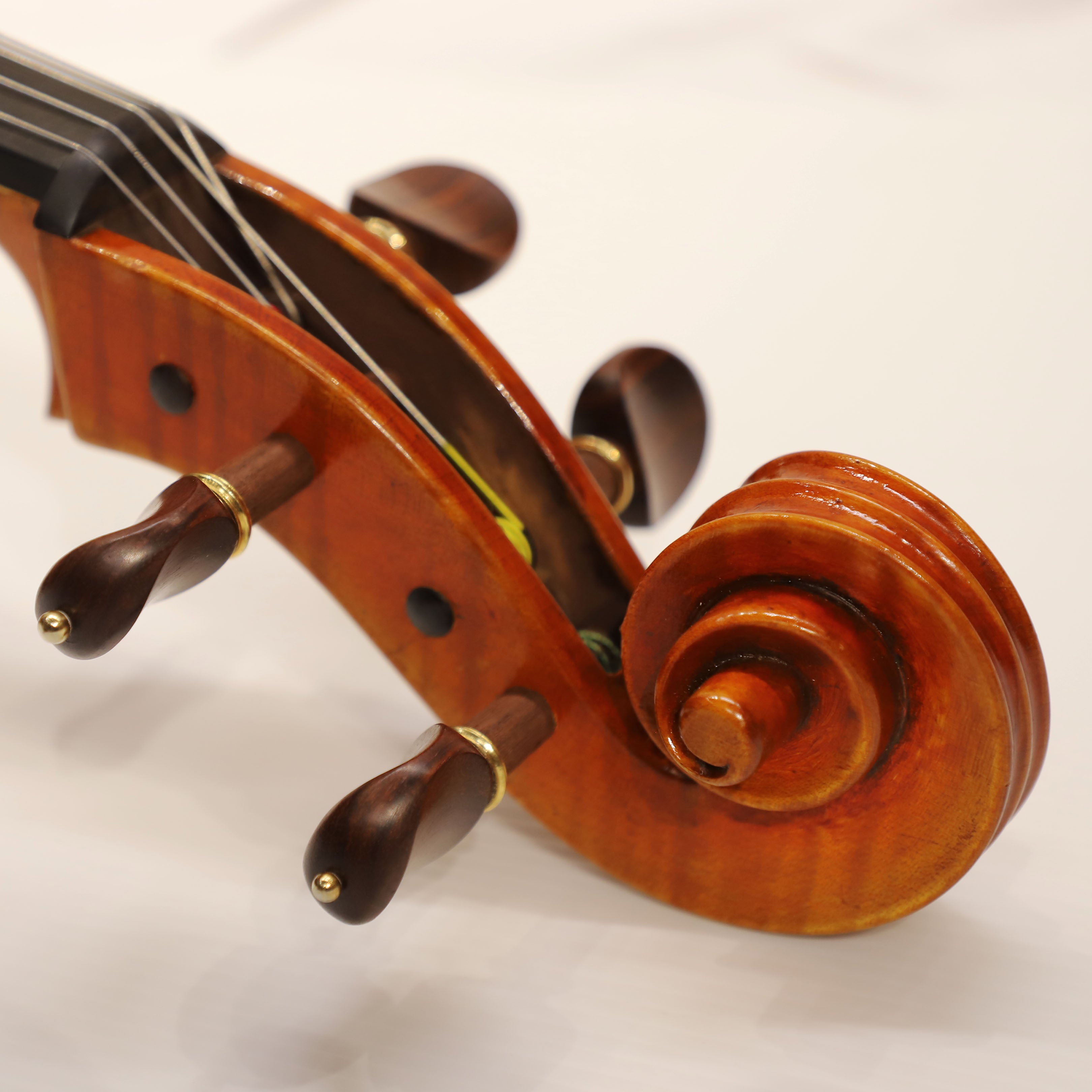 Stefano Simonetti 工作室大提琴