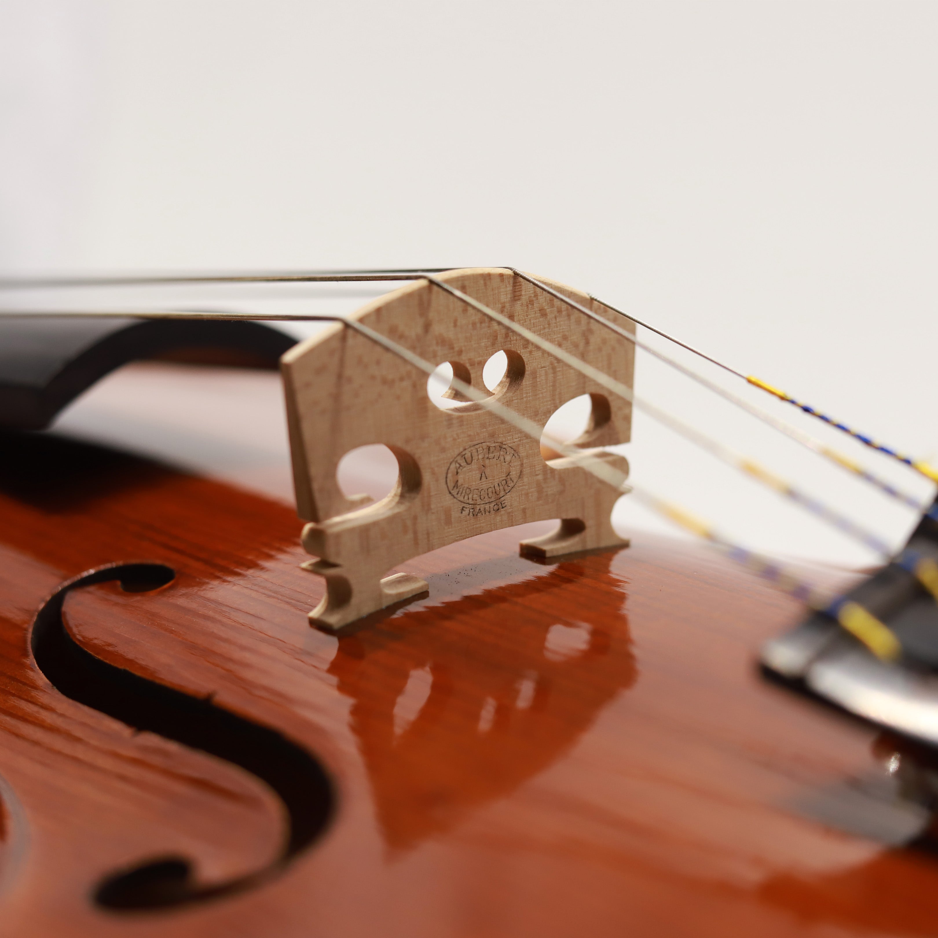 CS viola 獨奏系列中提琴 VA-600