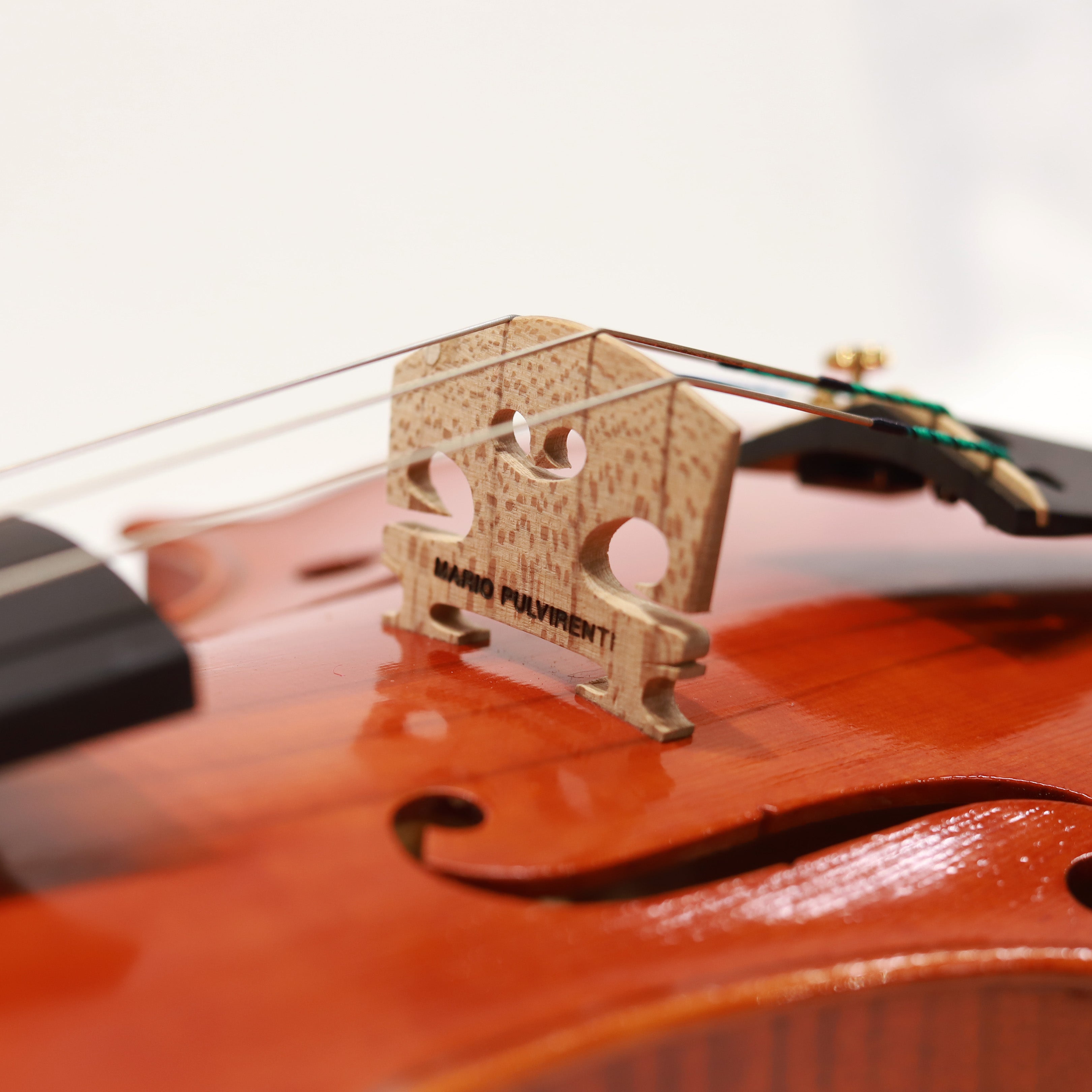 Mario Pulvirenti 小提琴202501