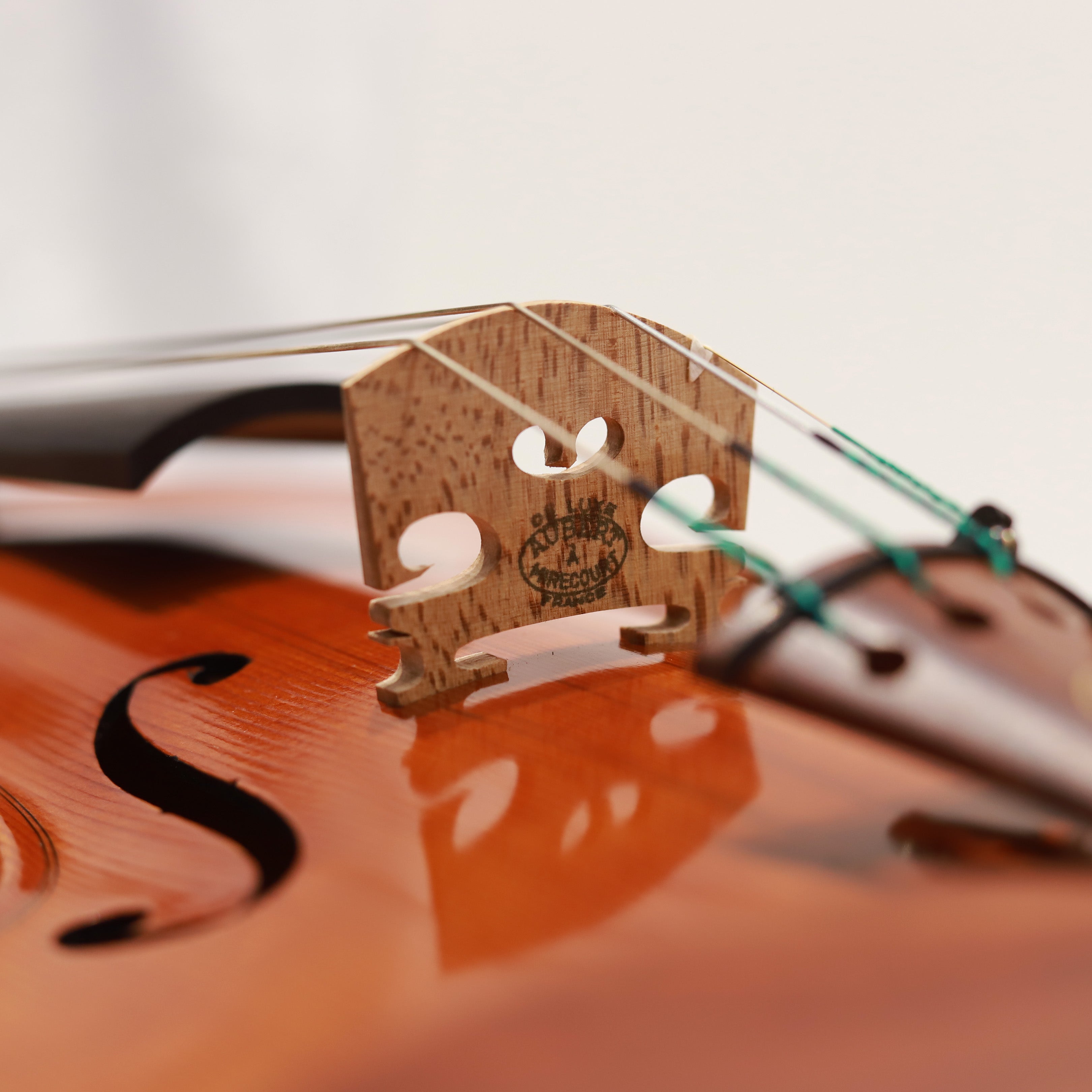 Matteo Mazzotti 小提琴202410