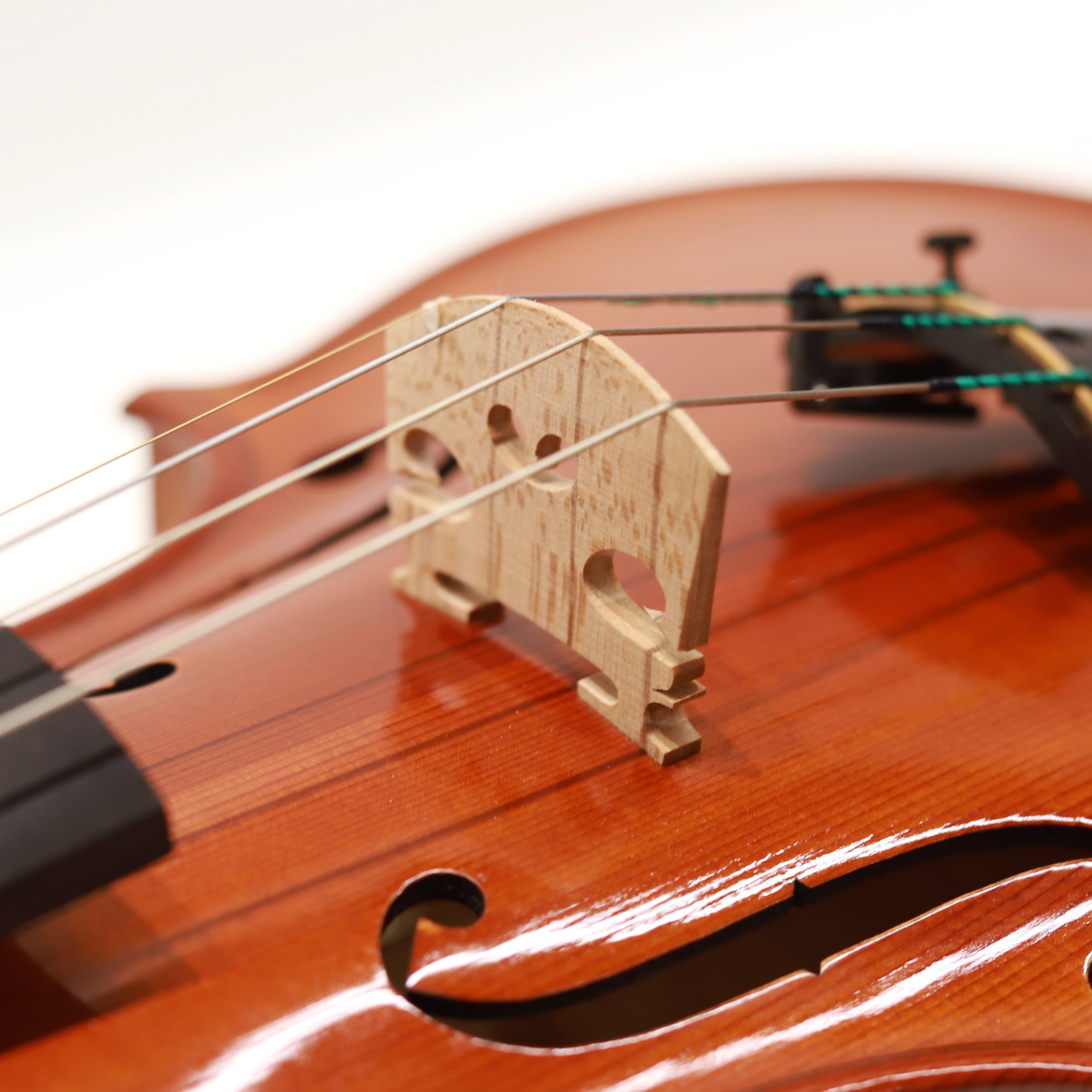 Matteo Mazzotti 2024 Cremona三年賽參賽小提琴