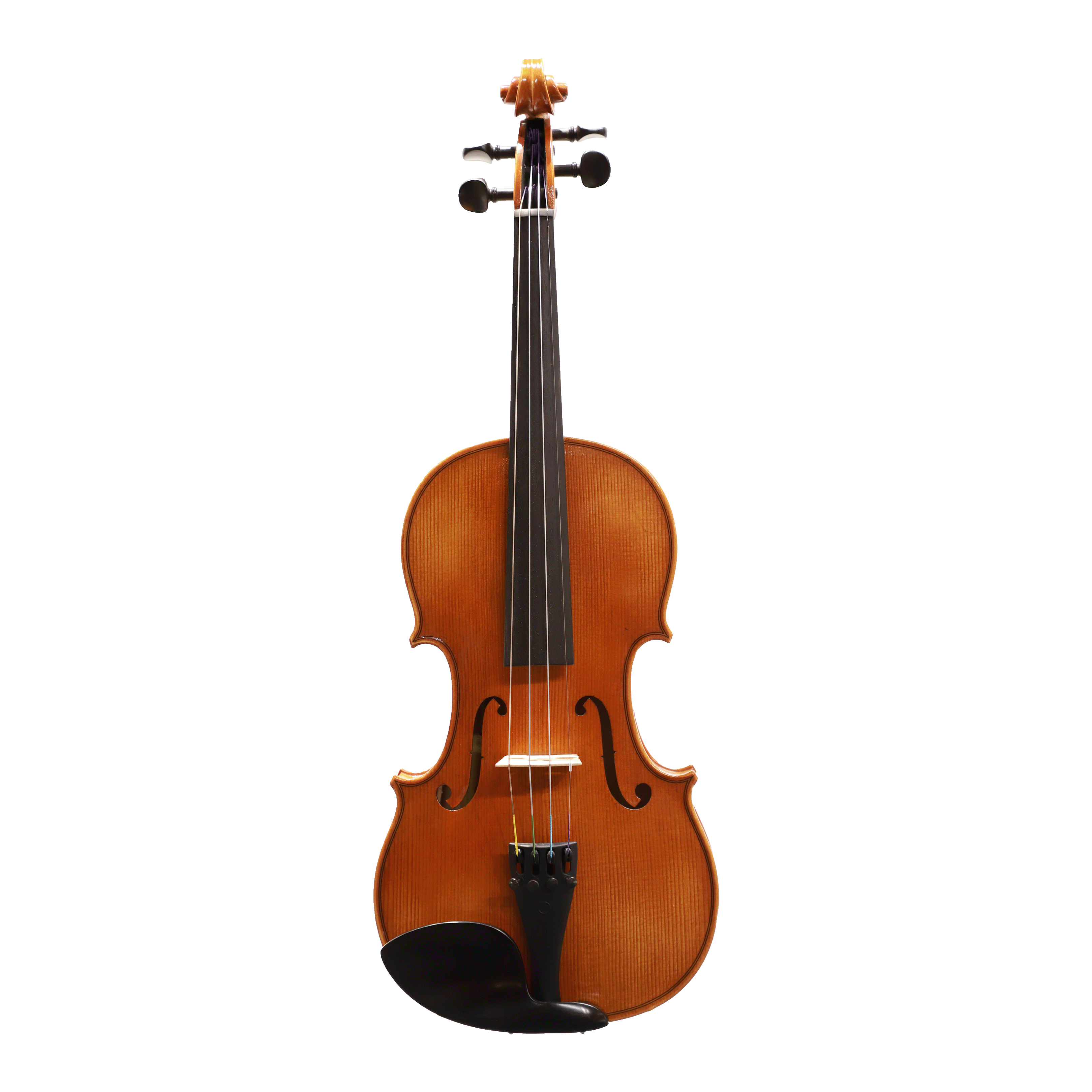 Höfner H11-V小提琴