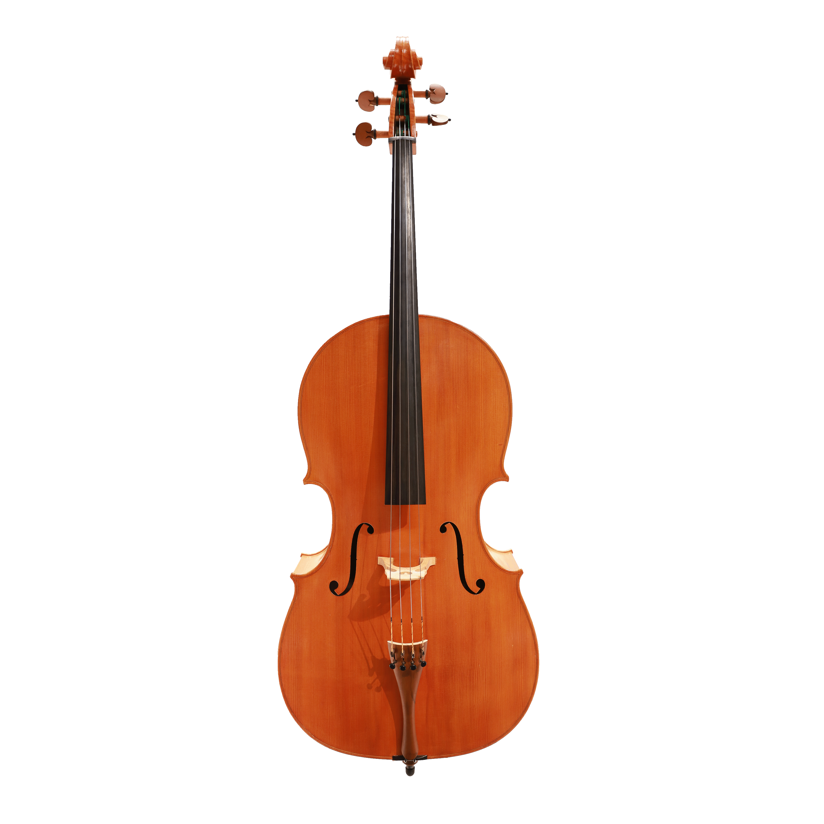 Francesco Tarchi 大提琴