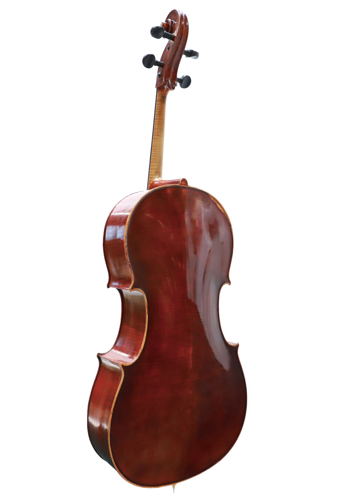 German Cello  from the Early 20th Century