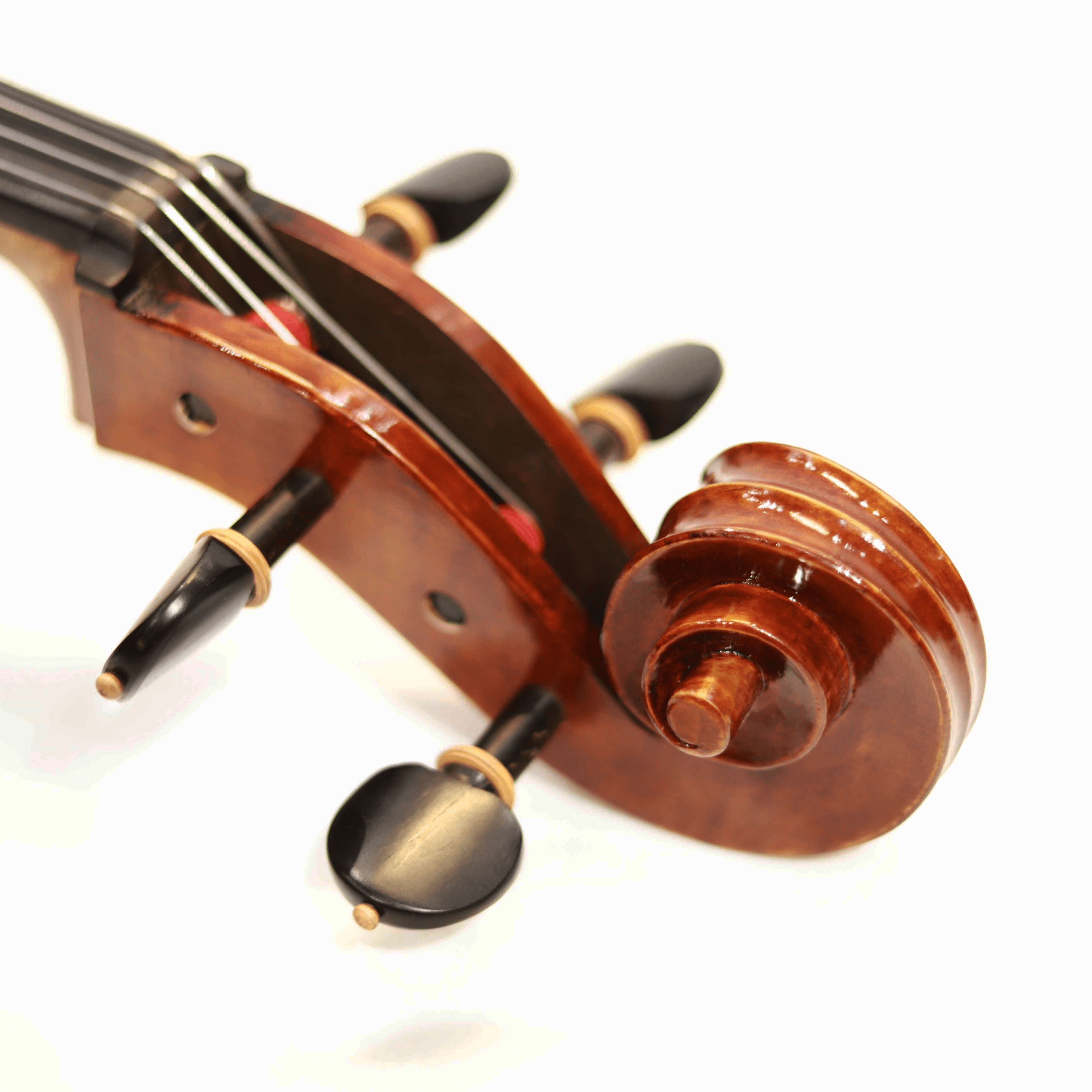 CS cello 工作室系列大提琴 C-500