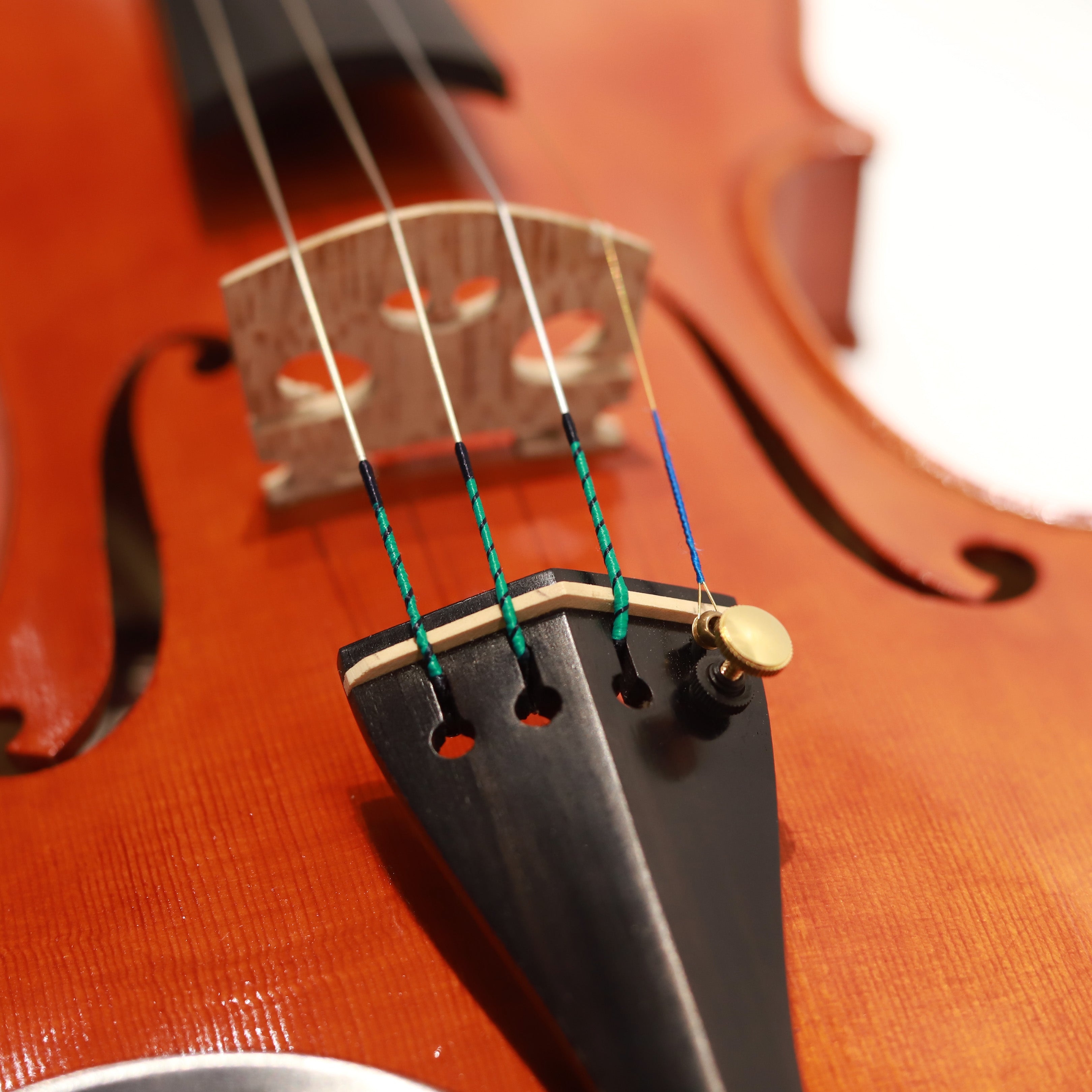 Mario Pulvirenti 小提琴202501