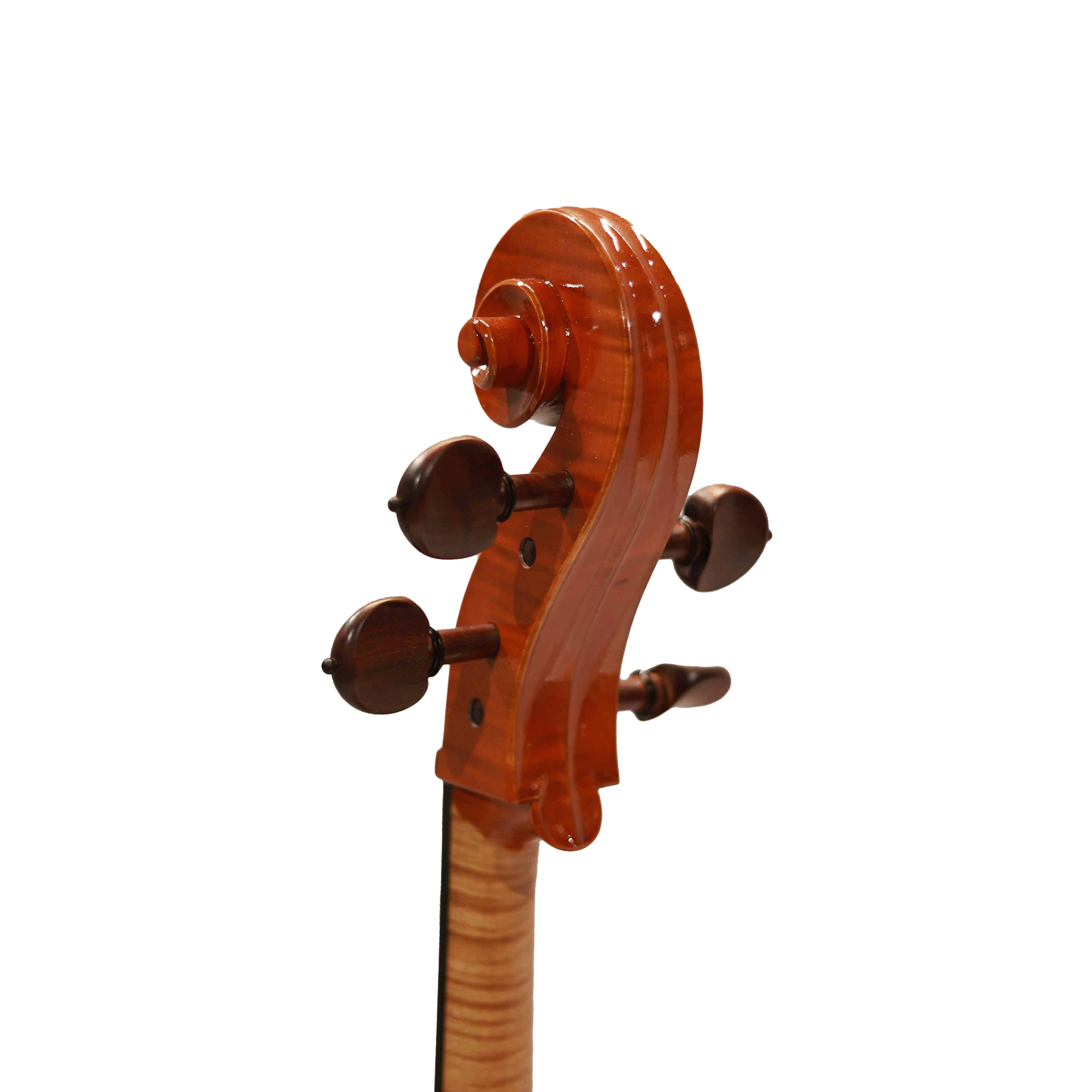 CS cello 大師系列大提琴 Master II No.05804