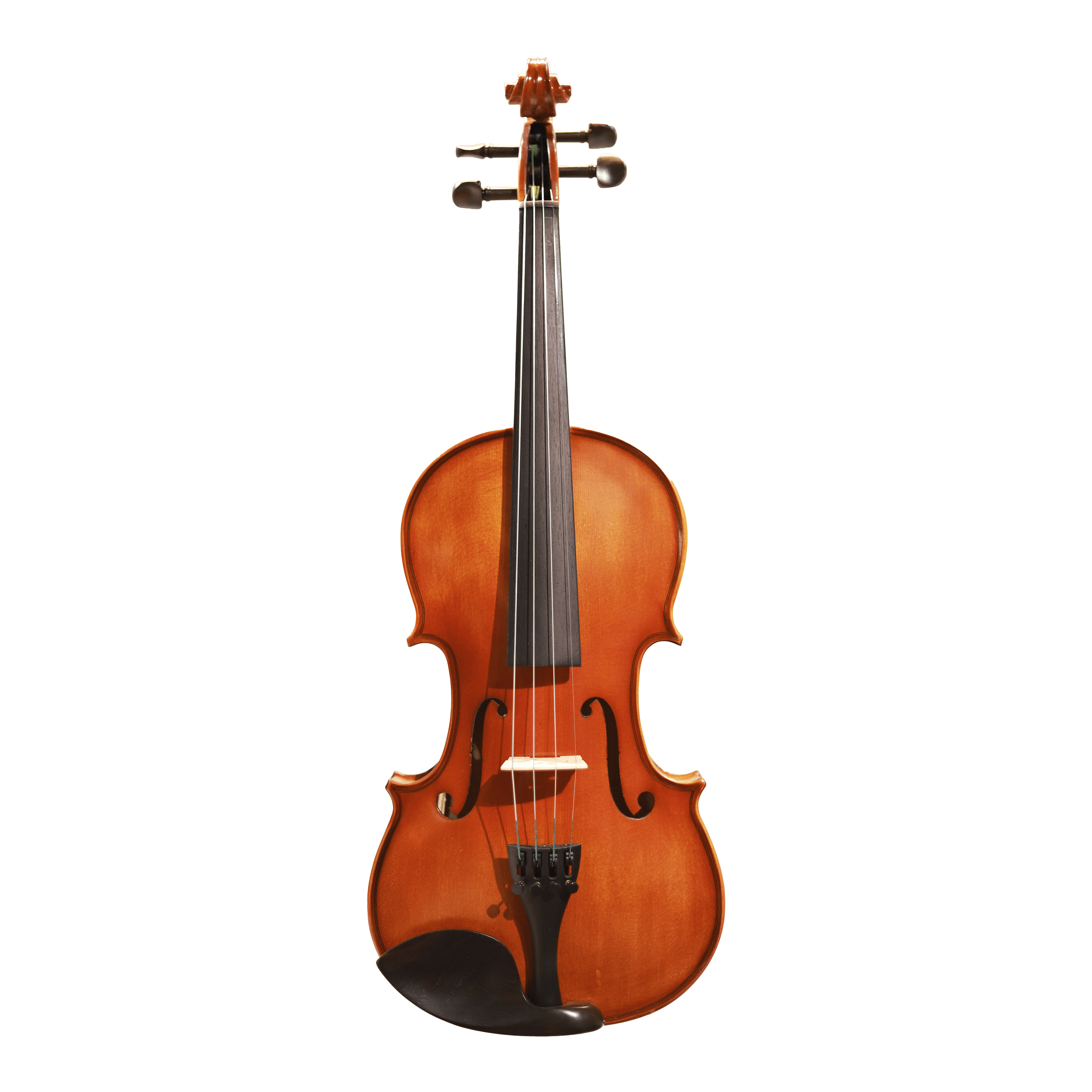 CS violin 學生系列小提琴 V-100